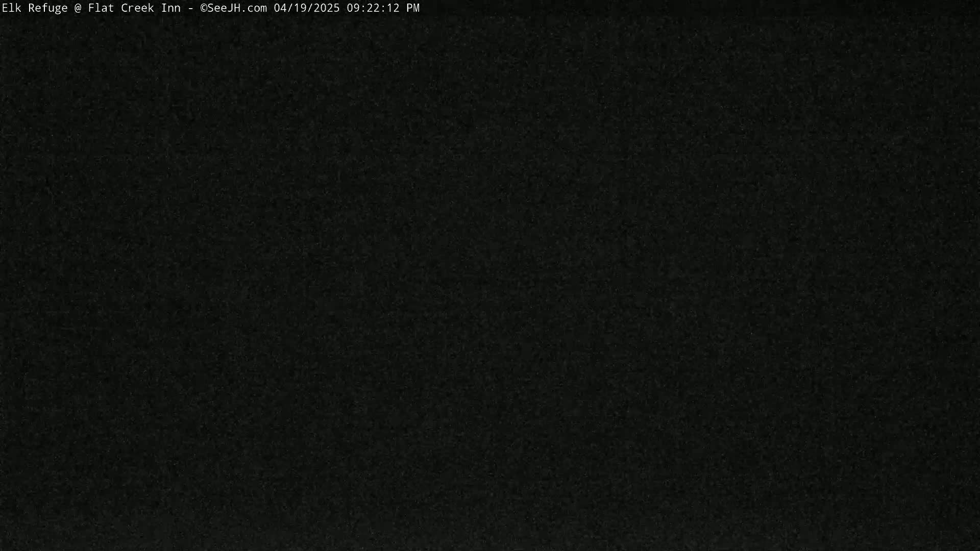 The image shows a completely black, grainy screen.