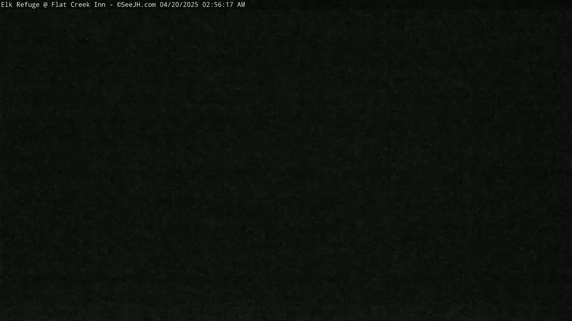 The image shows a completely dark, uniformly black screen.