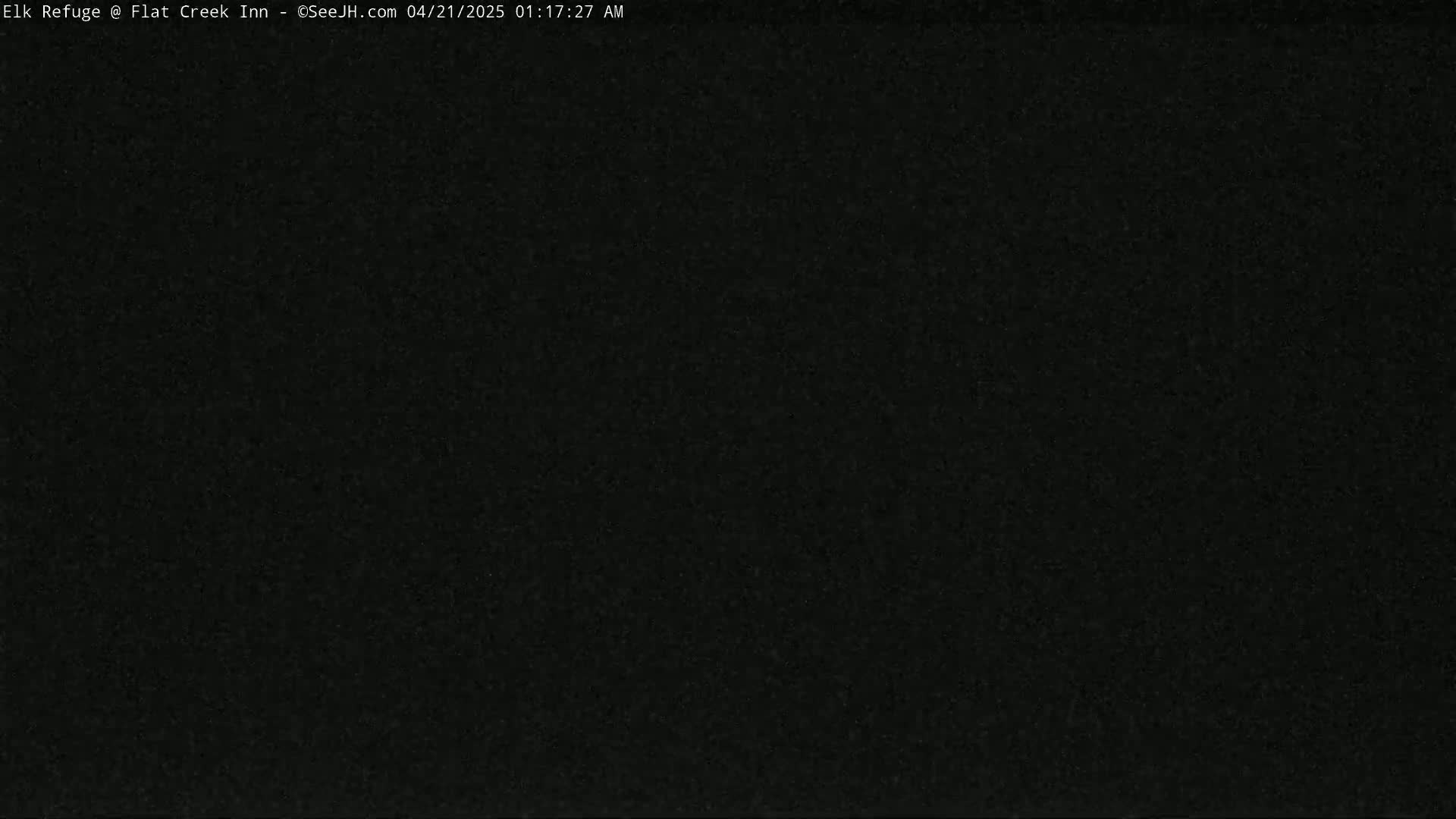 The image shows a completely dark, uniformly black screen.