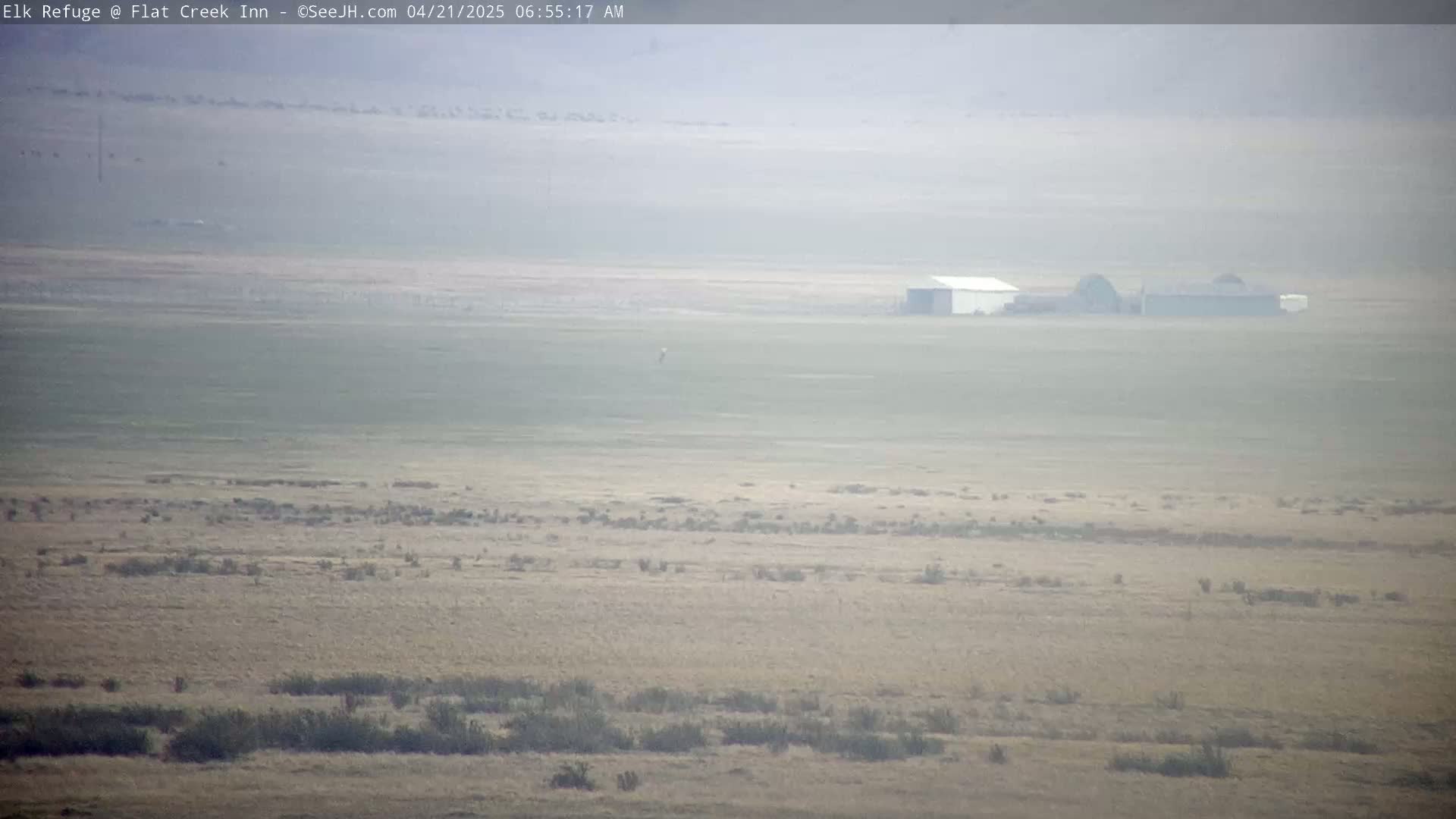 A hazy, flat landscape with sparse vegetation and a few distant buildings is visible under a foggy sky.