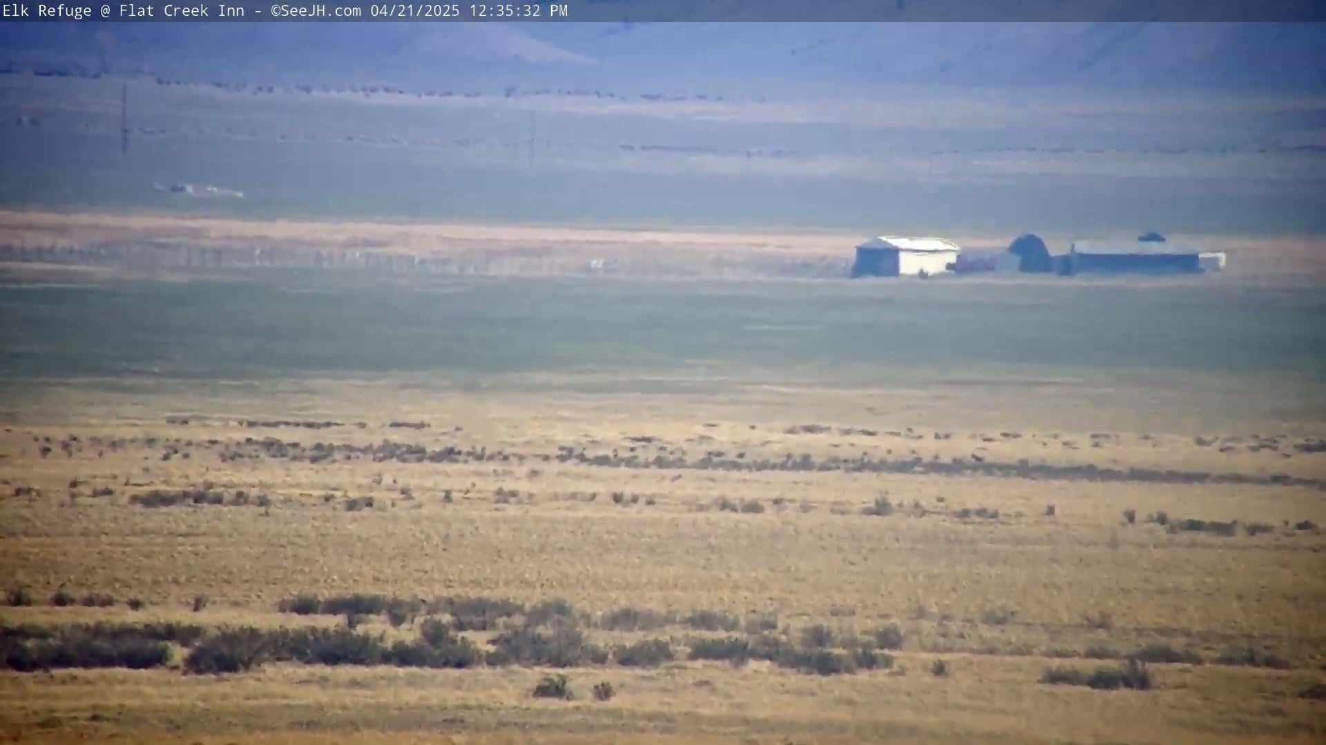 A hazy, expansive flat landscape of dry, light brown grass and sparse shrubs contains two distant buildings under a mostly clear sky.