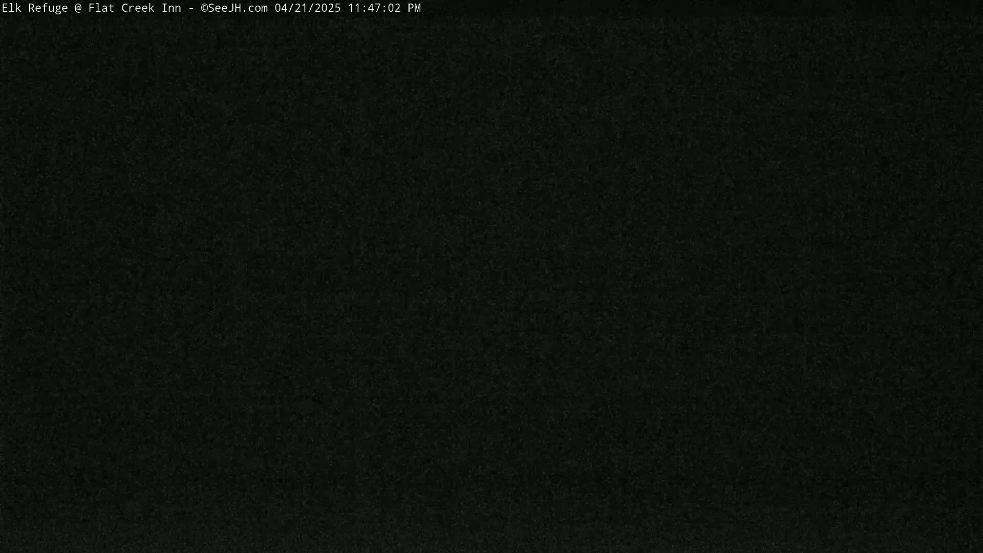 The image shows a completely dark screen with a grainy texture.