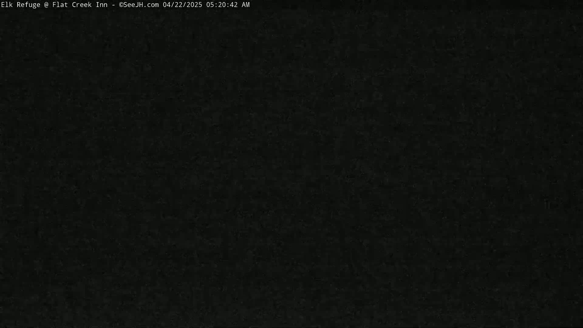 The image is a completely dark, grainy black.