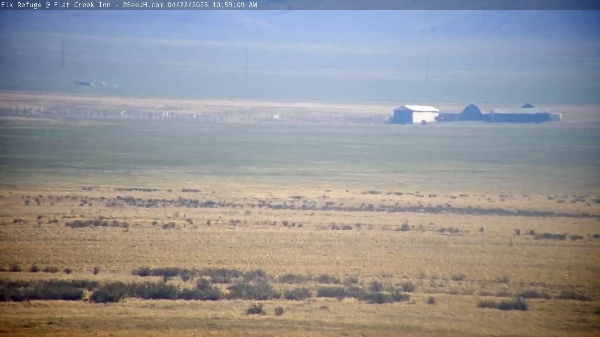 A hazy, expansive flat landscape of dry, tan grass and scrub brush features a small cluster of buildings in the mid-distance.