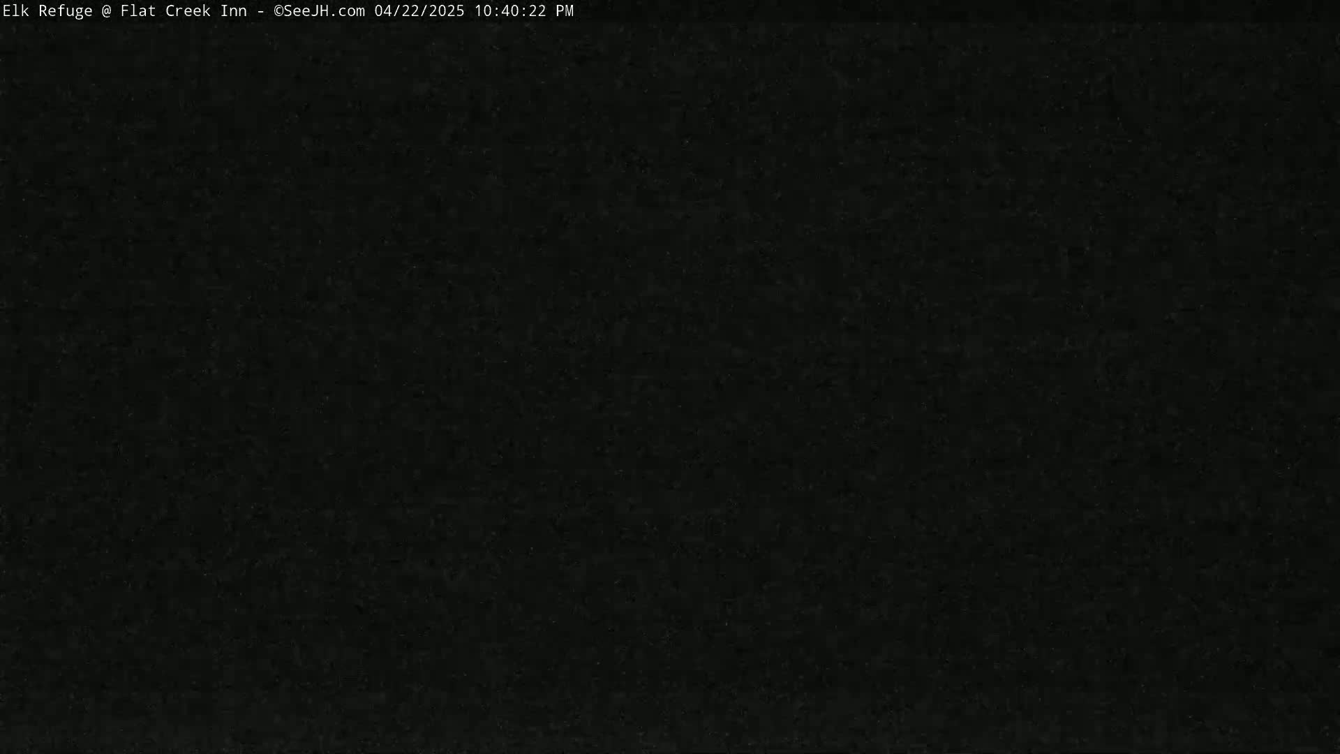 The image shows a completely dark, grainy field of view.