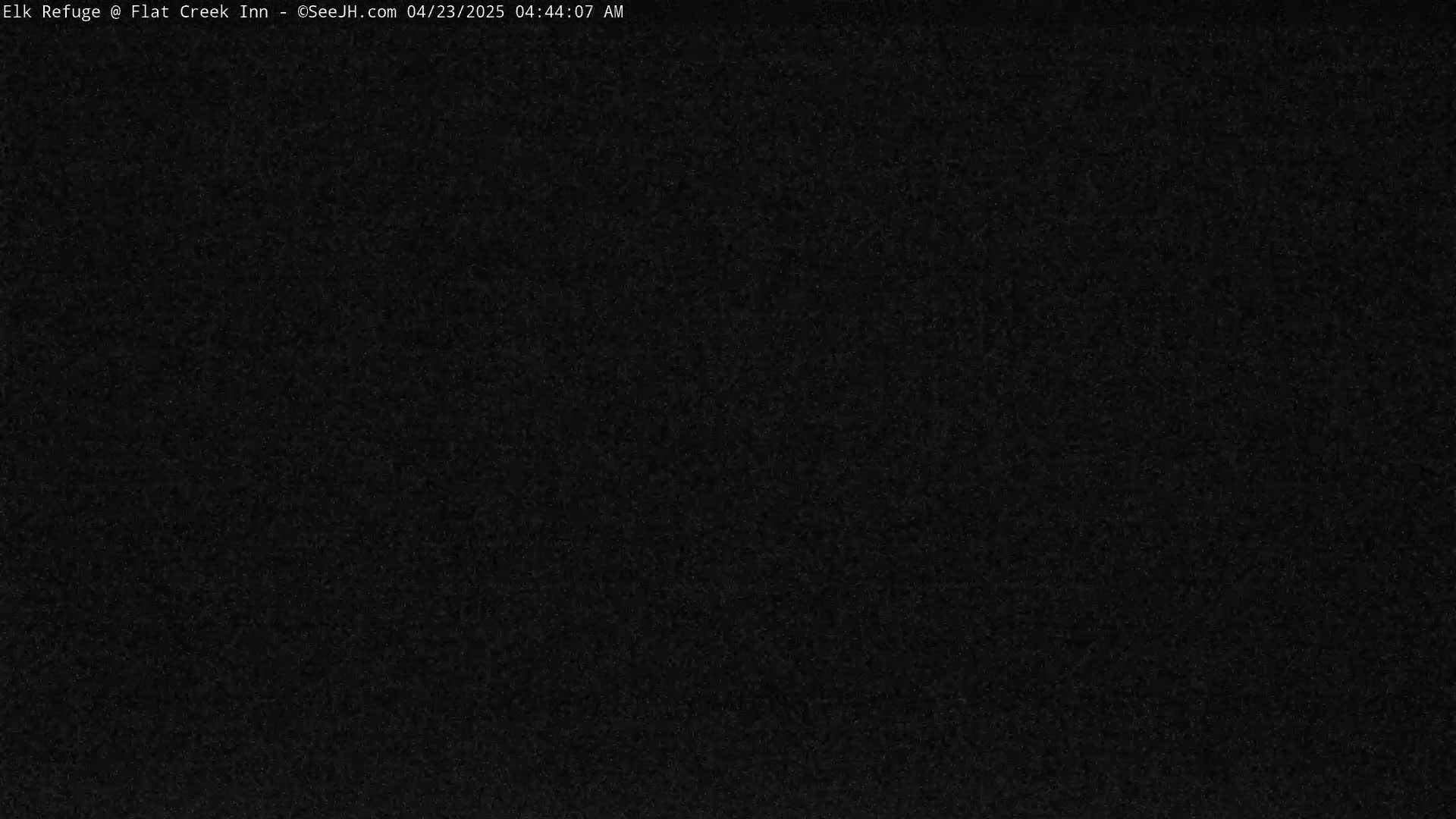 The image shows a completely dark, grainy screen.