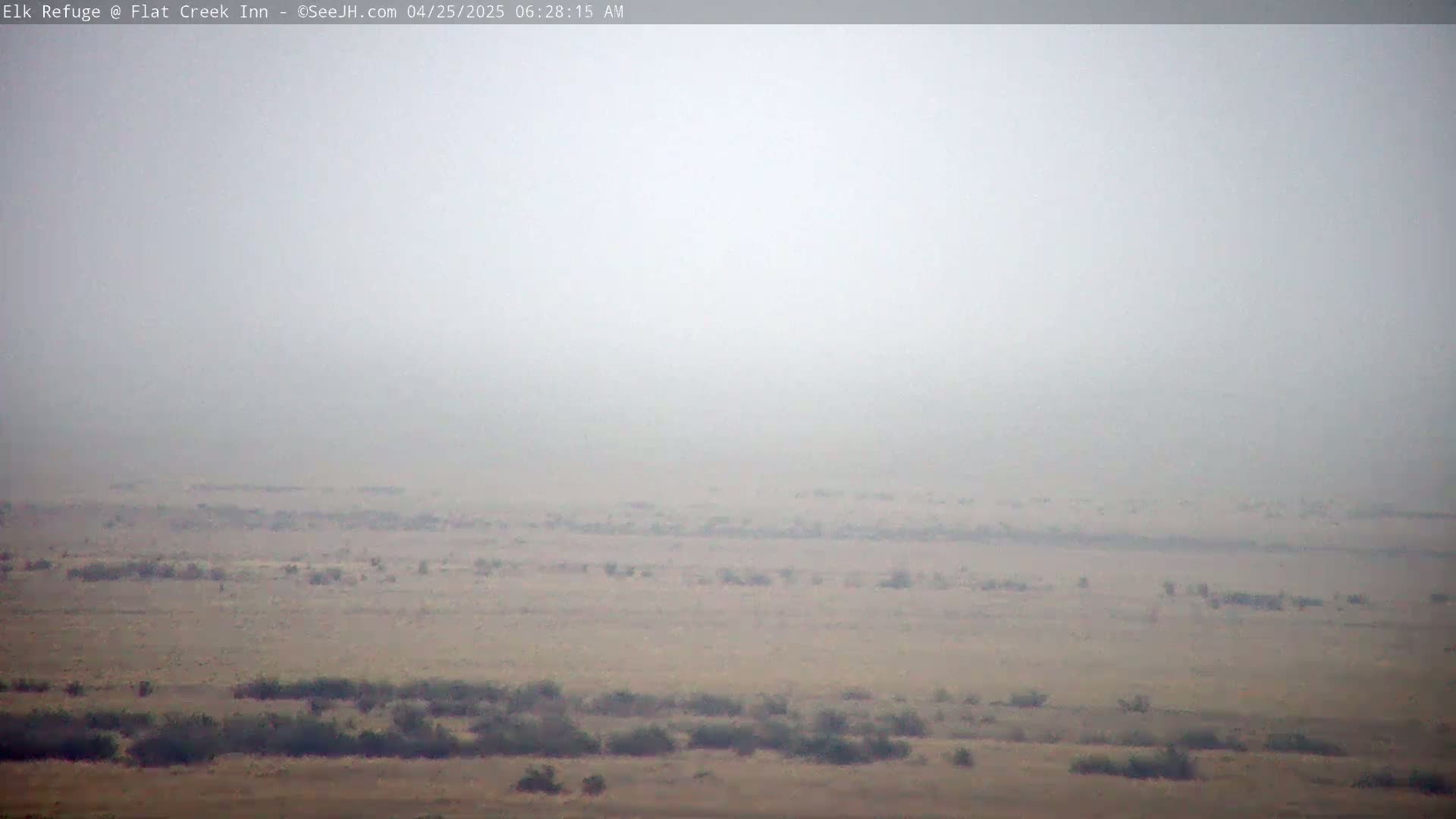 A hazy, foggy view of a flat, sparsely vegetated landscape.