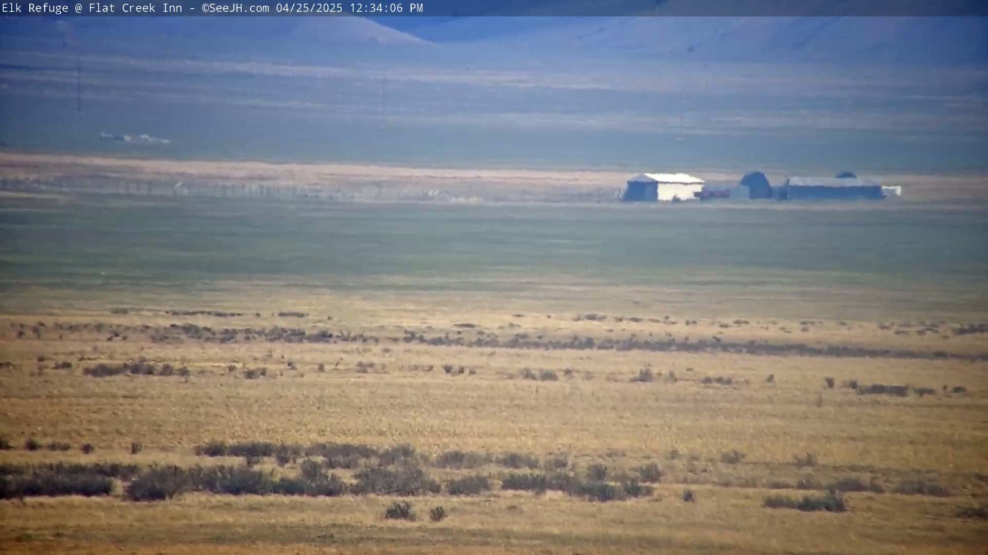 A hazy, long-distance view shows several light-colored buildings on a flat expanse of light brown and green land.