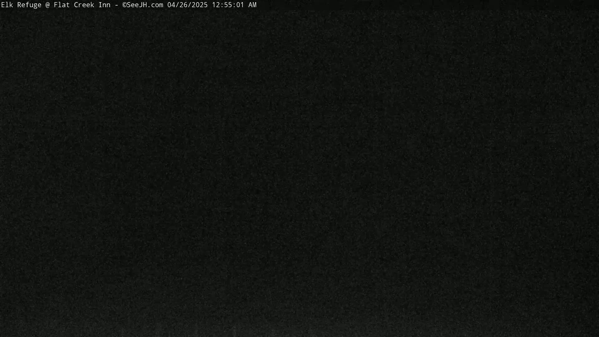 The image shows a uniformly dark, grainy surface.