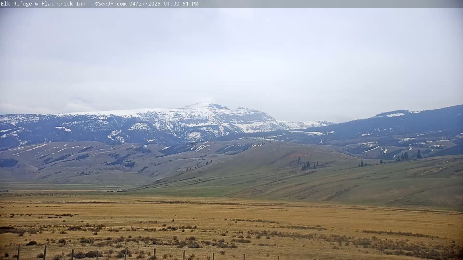 A vast, dry, grassy plain stretches out before snow-capped mountains under a hazy sky.