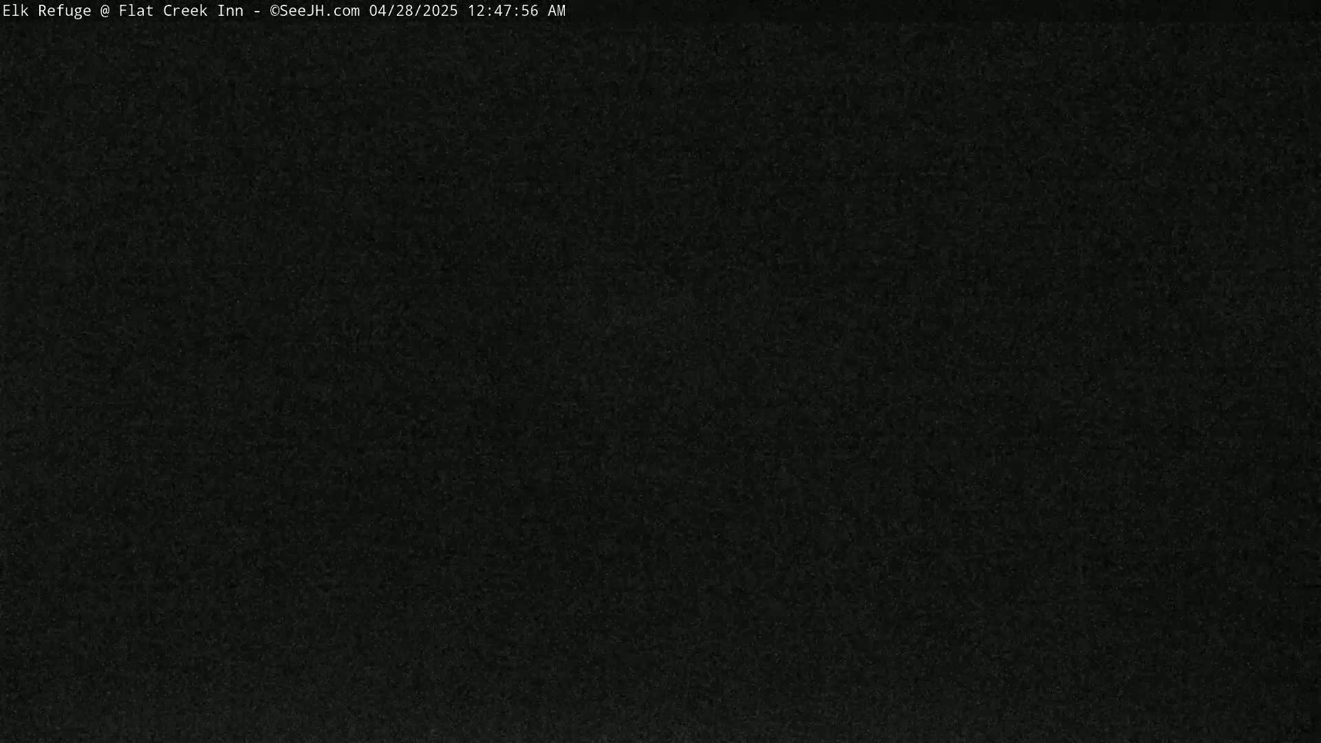 The image shows a uniformly dark, grainy texture.