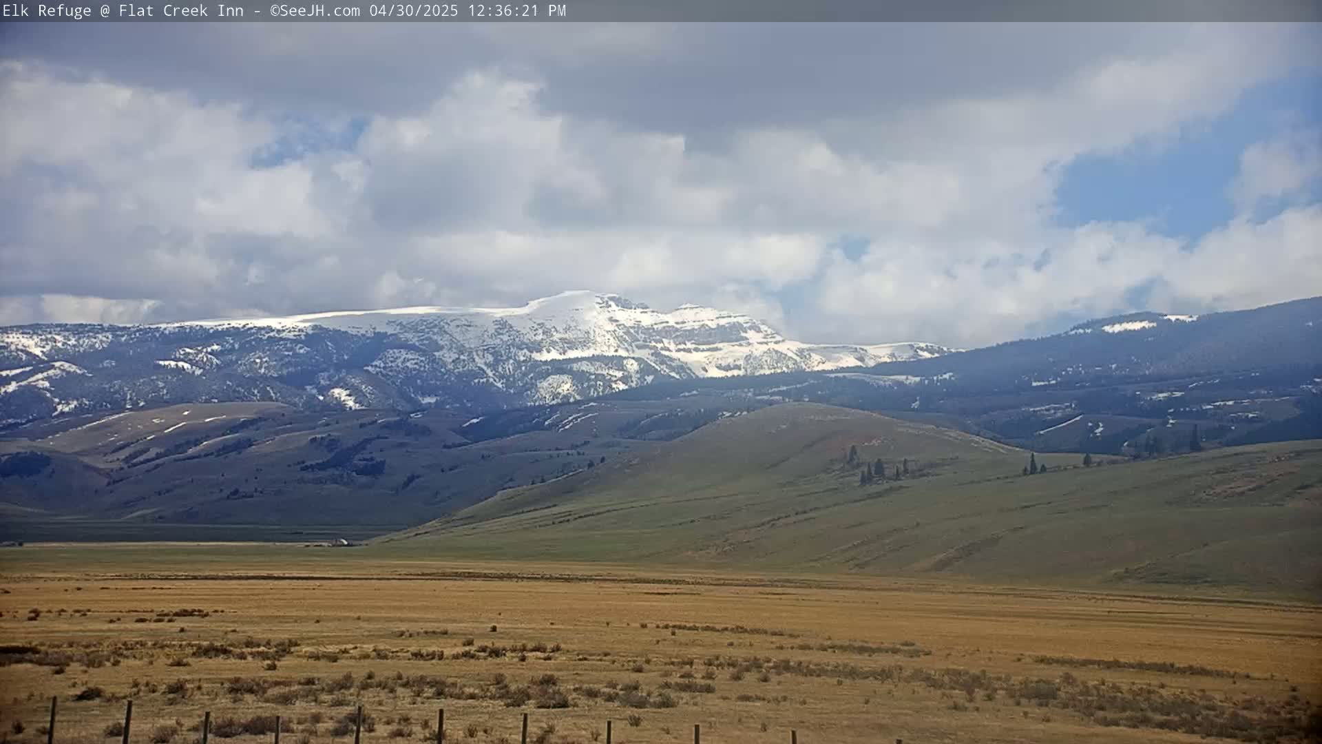 A snow-capped mountain range is visible in the distance under a partly cloudy sky over a vast, flat, grassy plain.