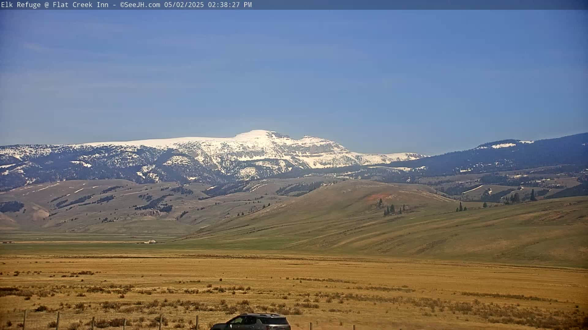 A snow-capped mountain range is visible in the distance under a clear blue sky over a flat, dry, golden-brown field.