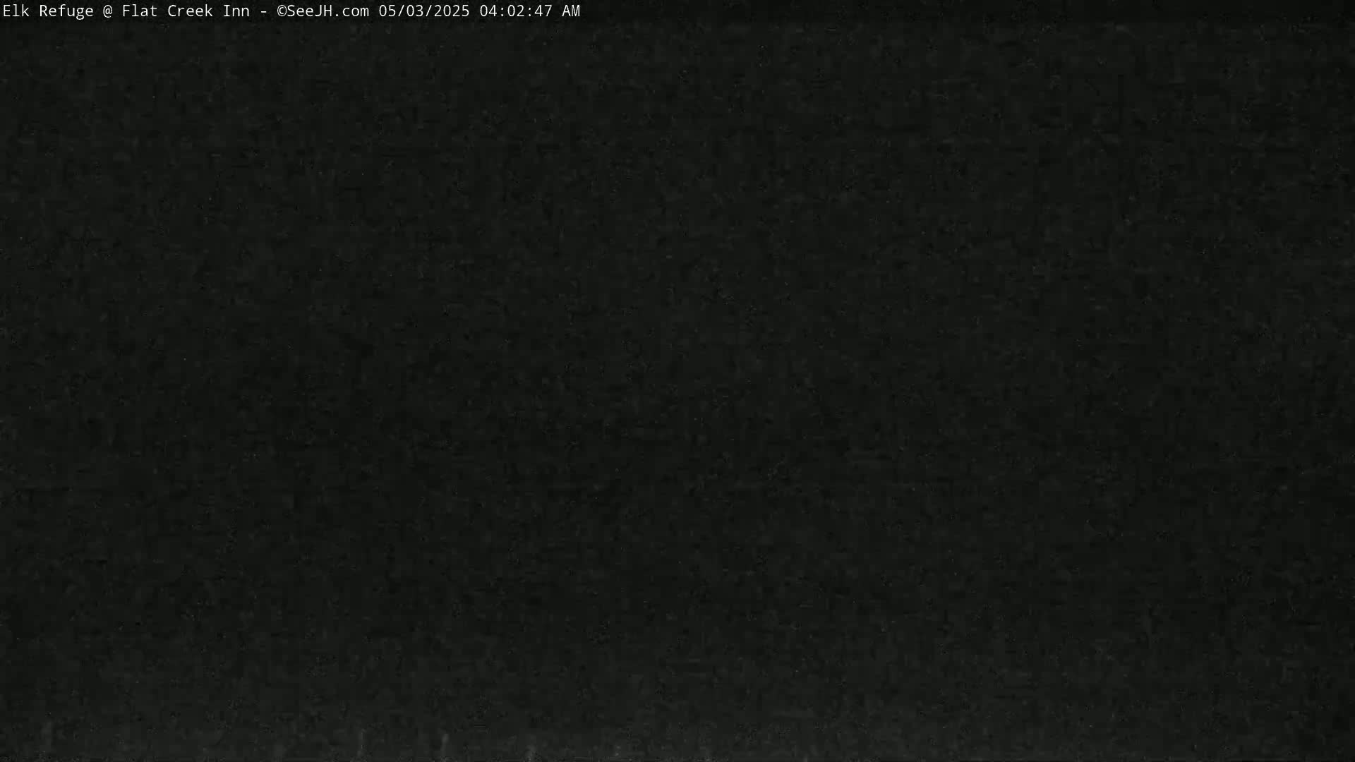 The image shows a uniformly dark, almost black, surface.