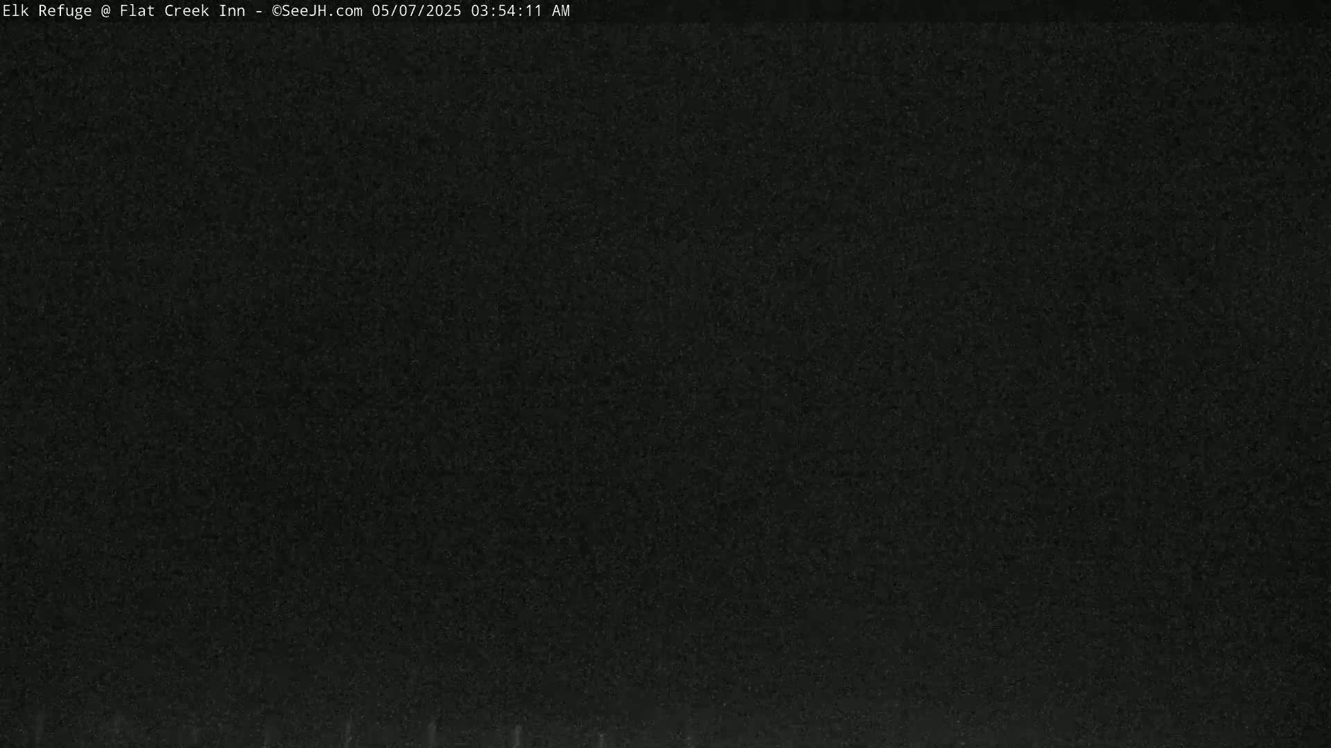 A dark, grainy image shows a nighttime scene with poor visibility.