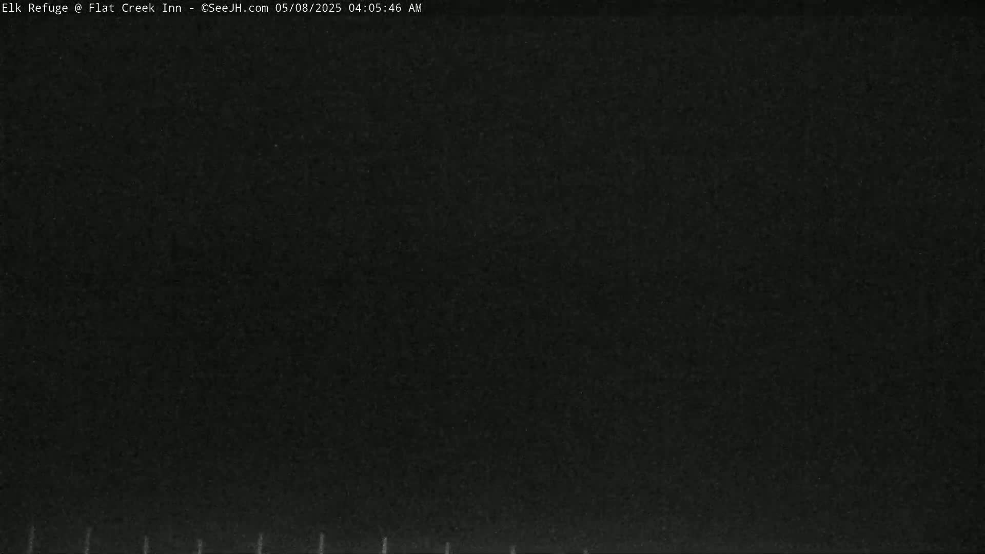 A completely dark image, possibly indicating nighttime or very low light conditions.