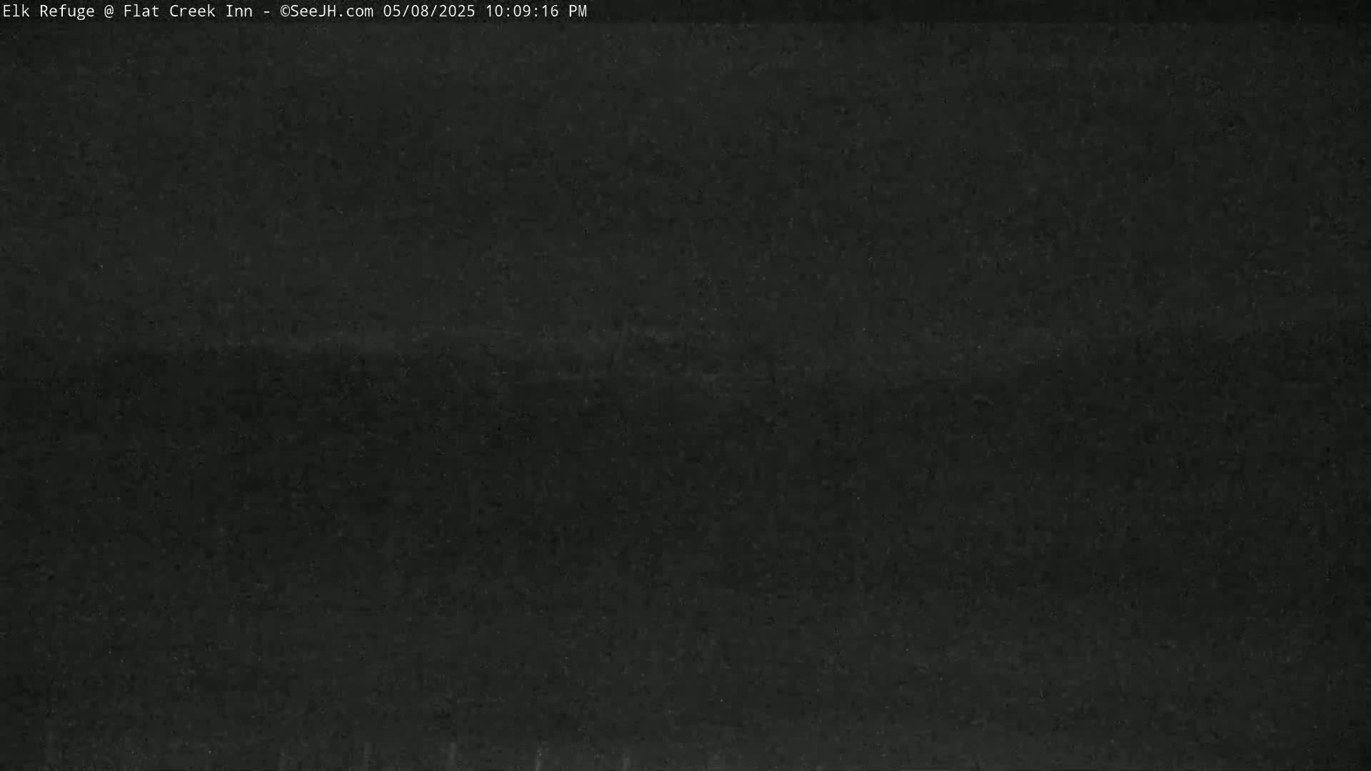 A dark, grainy image shows a mostly black scene at night.