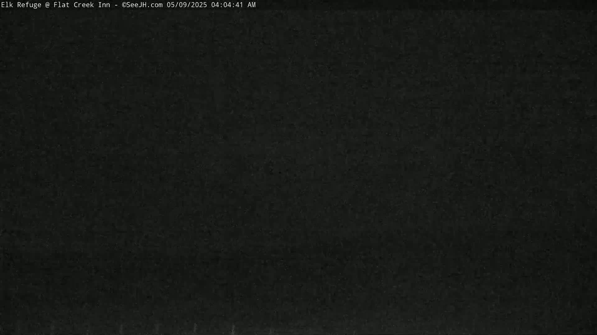 The image shows a completely dark, grainy surface.