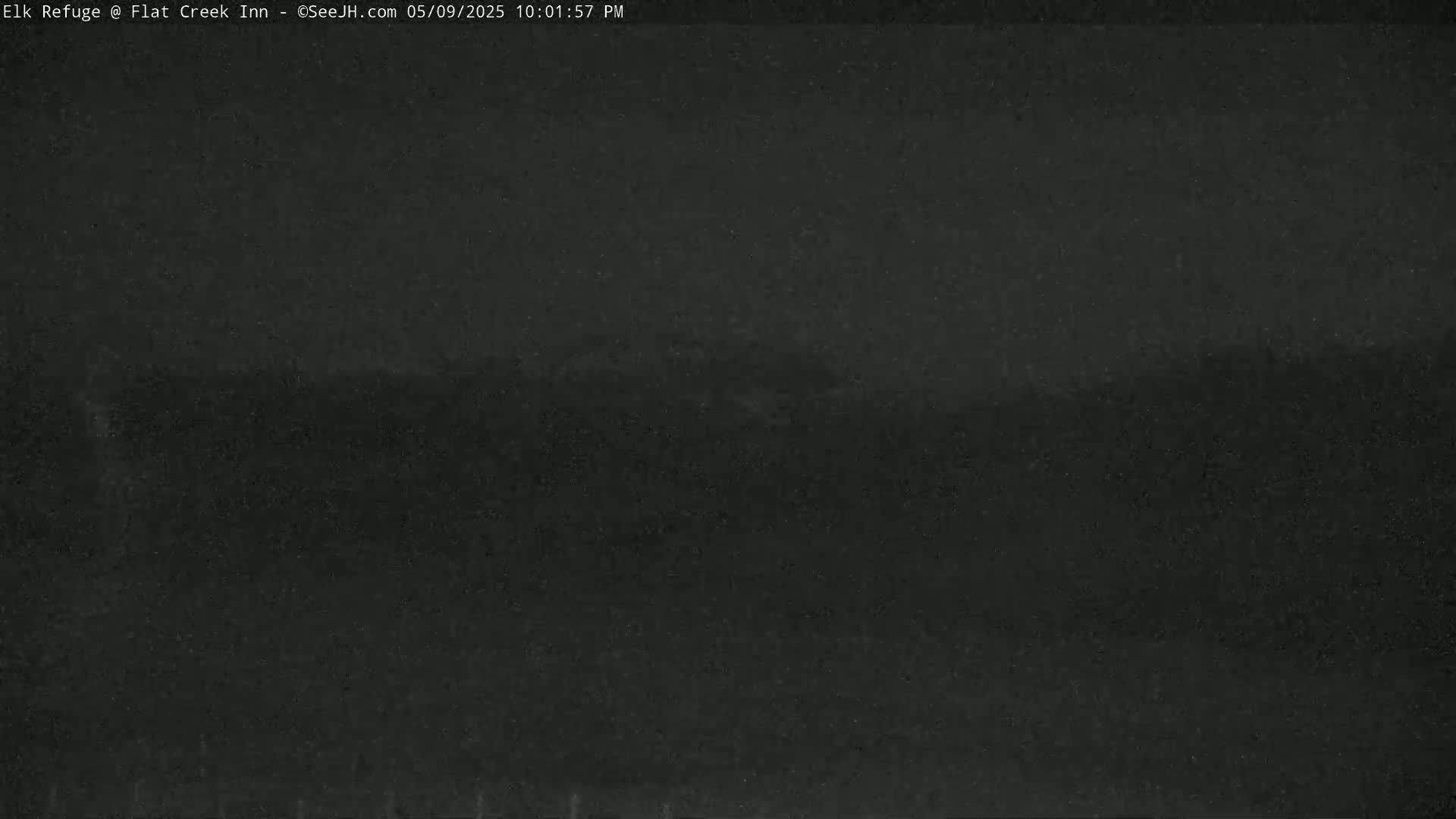 A dark, blurry image shows a mostly featureless, dark landscape under a dark sky.