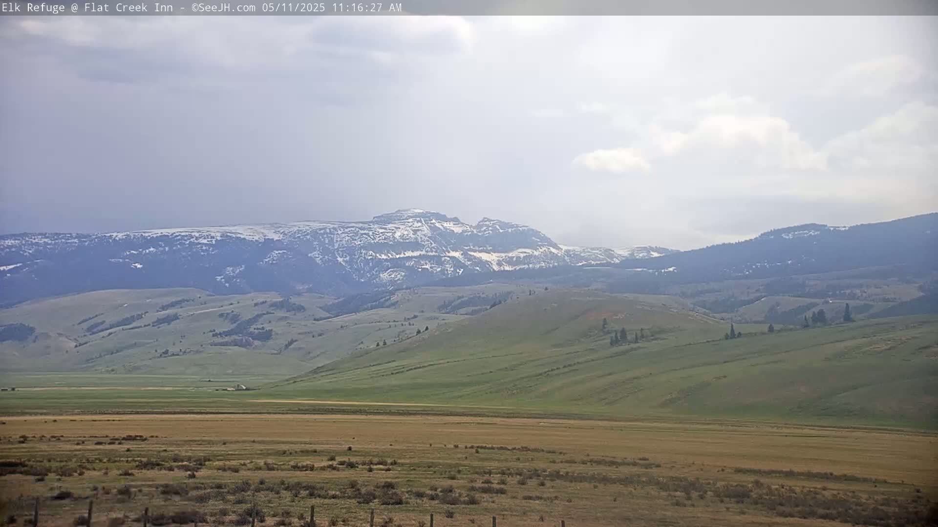 A snow-capped mountain range is visible in the distance, behind a vast, gently rolling plain of tan and green grasses under a mostly cloudy sky.