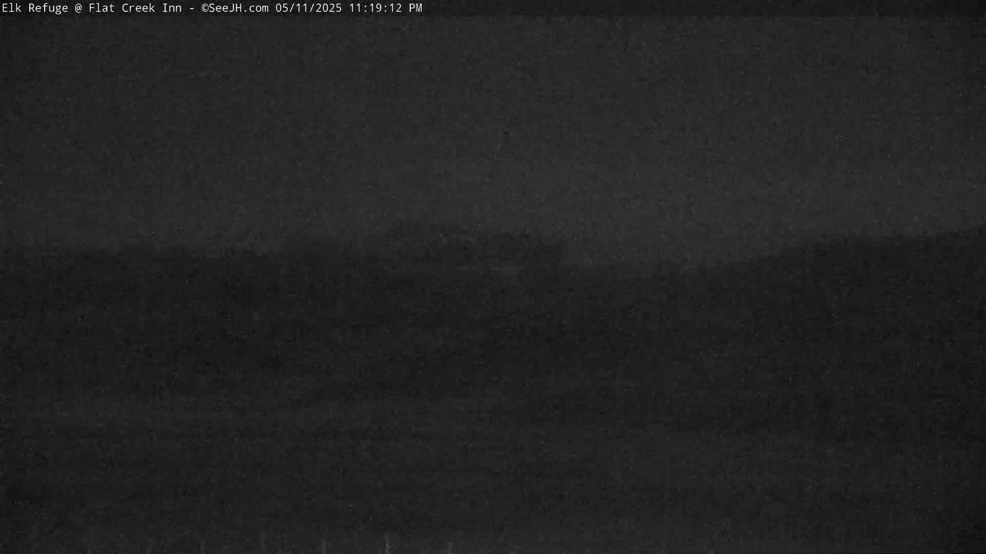 A dark, blurry image shows a mostly featureless landscape at night.