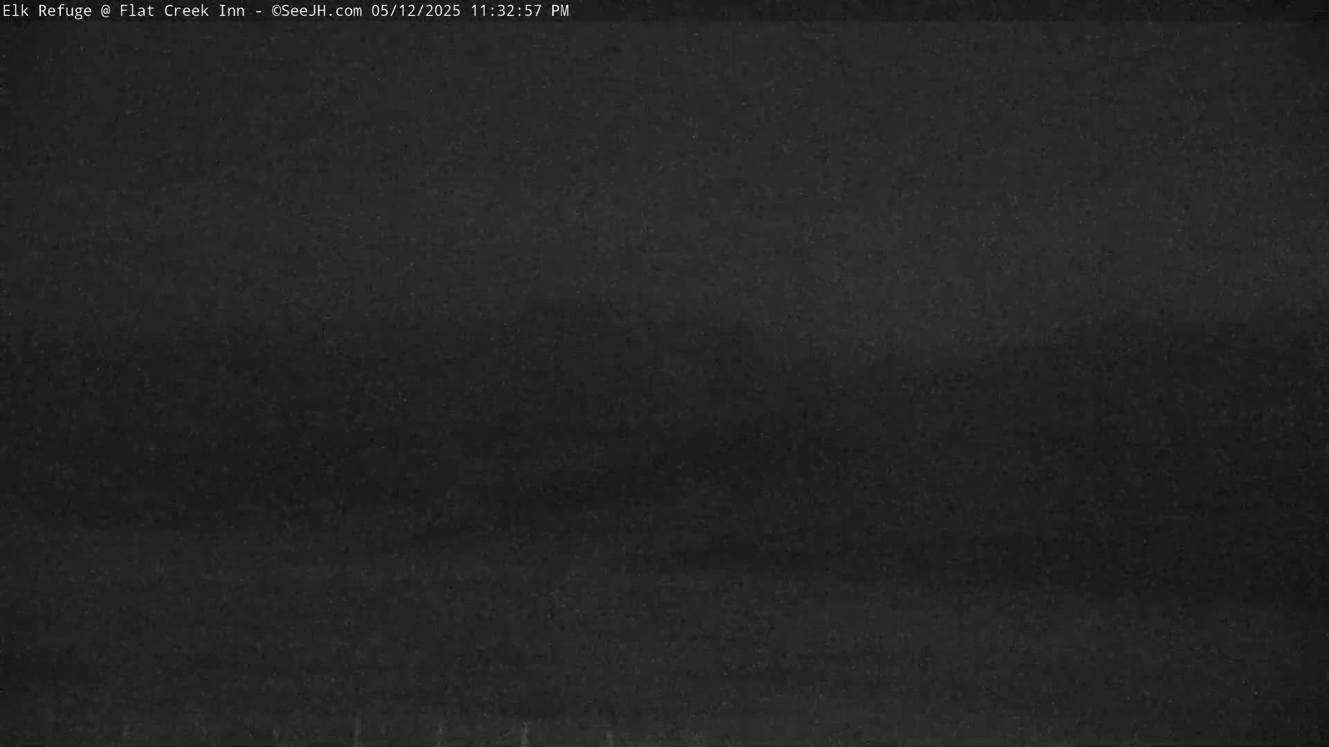 Jackson, Elk Refuge & Teton Mountains from Flat Creek Inn Live Cam - Jackson, Teton, Wyoming, USA