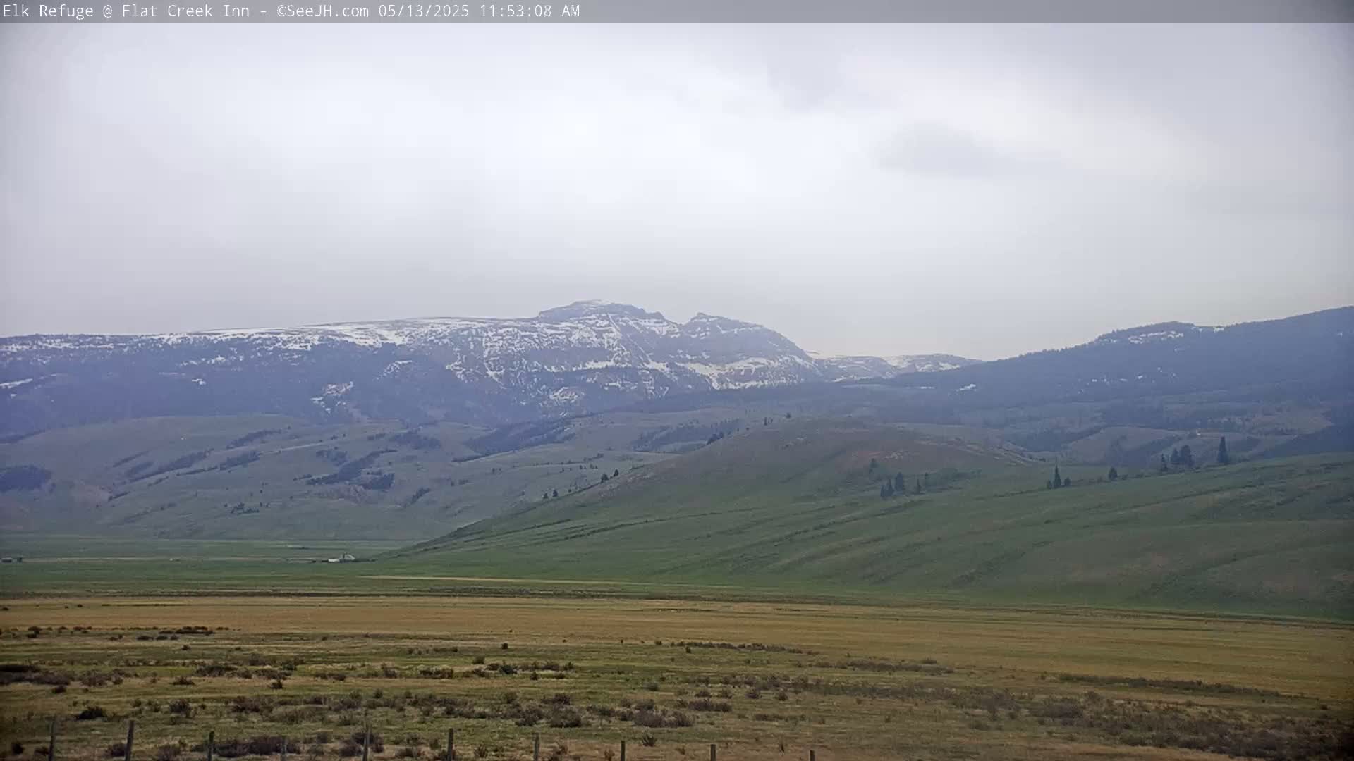 Jackson, Elk Refuge & Teton Mountains from Flat Creek Inn Live Cam - Jackson, Teton, Wyoming, USA