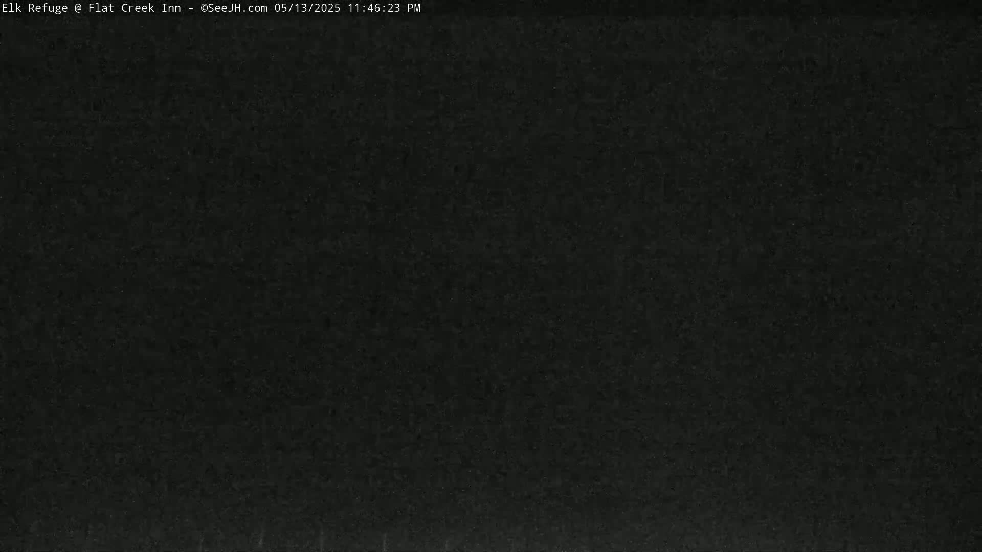 Jackson, Elk Refuge & Teton Mountains from Flat Creek Inn Live Cam - Jackson, Teton, Wyoming, USA