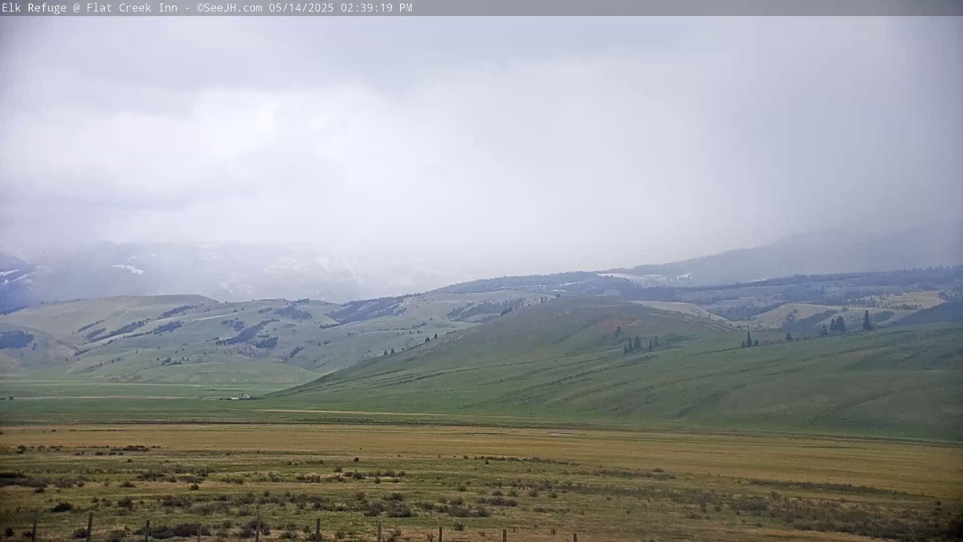 A hazy view of rolling green hills and distant mountains under a light overcast sky.