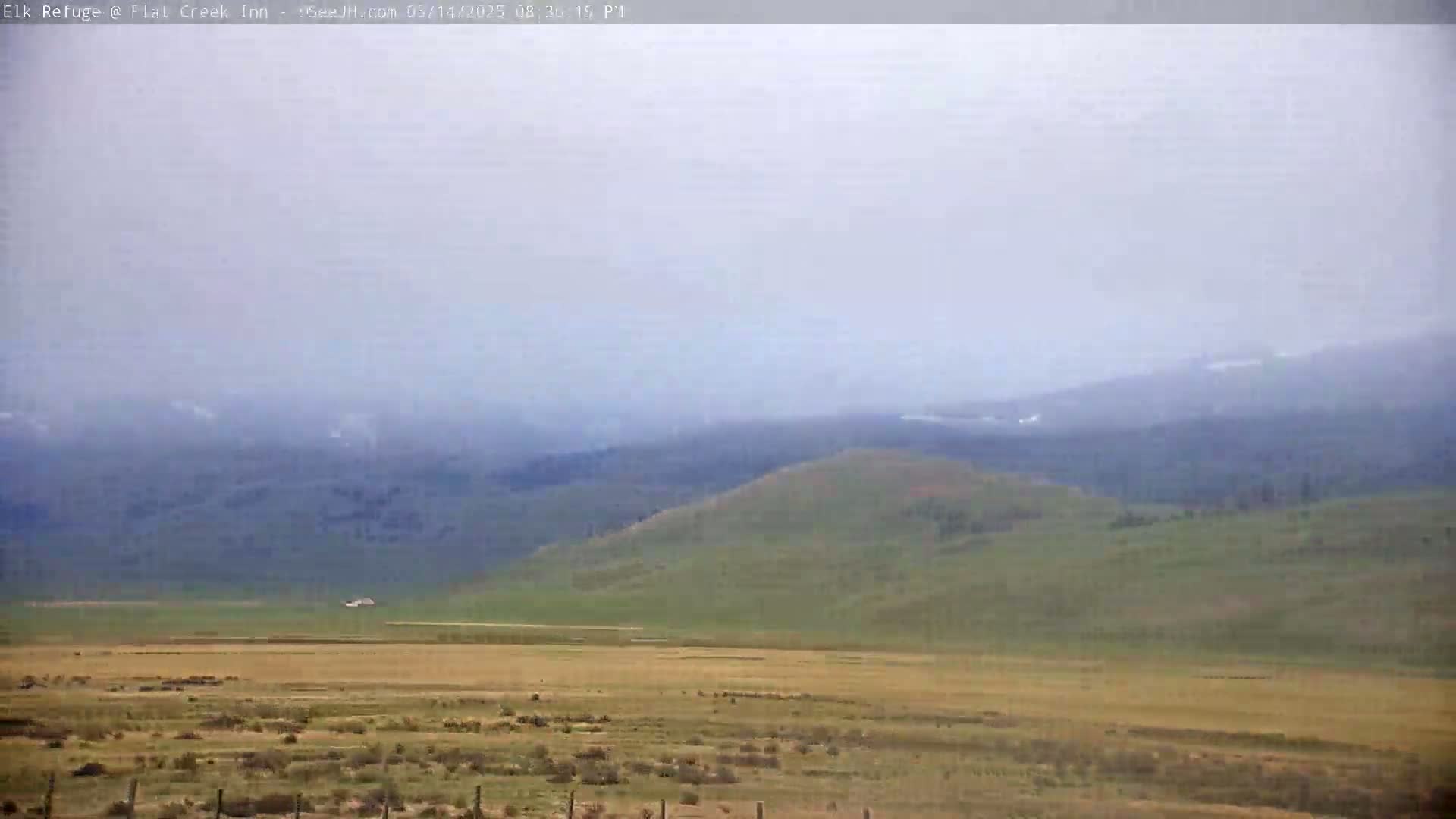 Jackson, Elk Refuge & Teton Mountains from Flat Creek Inn Live Cam - Jackson, Teton, Wyoming, USA
