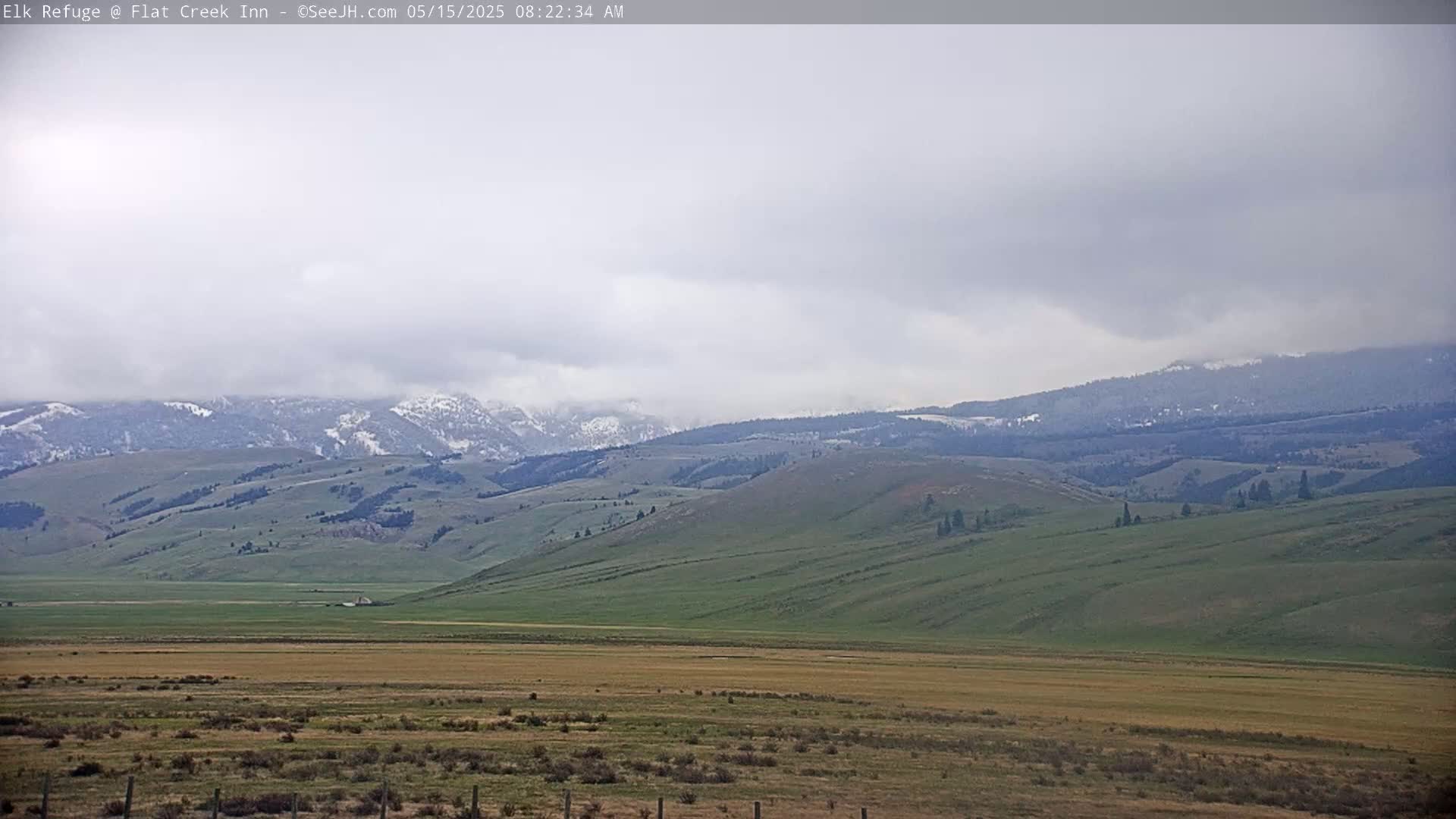 A wide, flat valley of light brown and green grasses stretches to snow-dusted mountains under a cloudy sky.