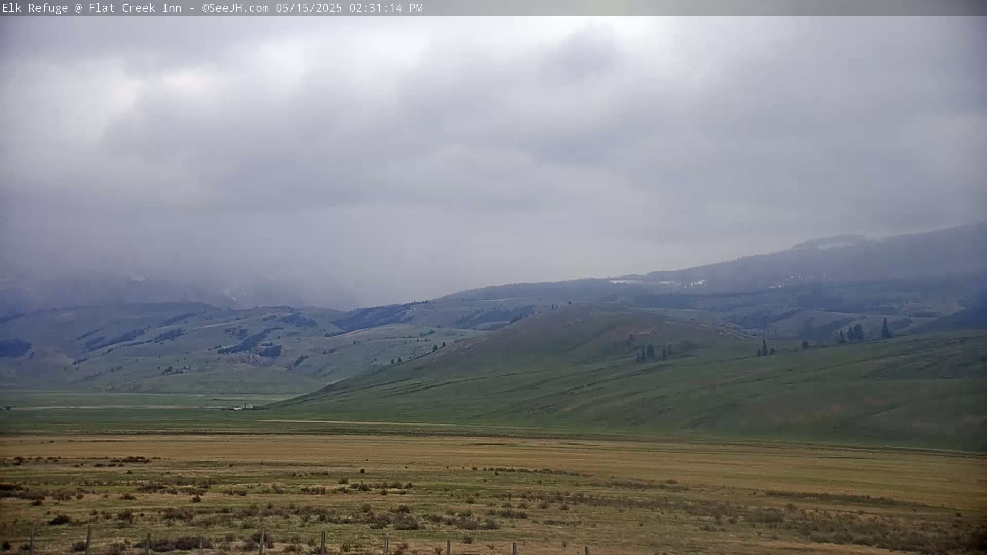 A vast, flat, grassy plain stretches out before rolling green hills and distant mountains under an overcast sky.