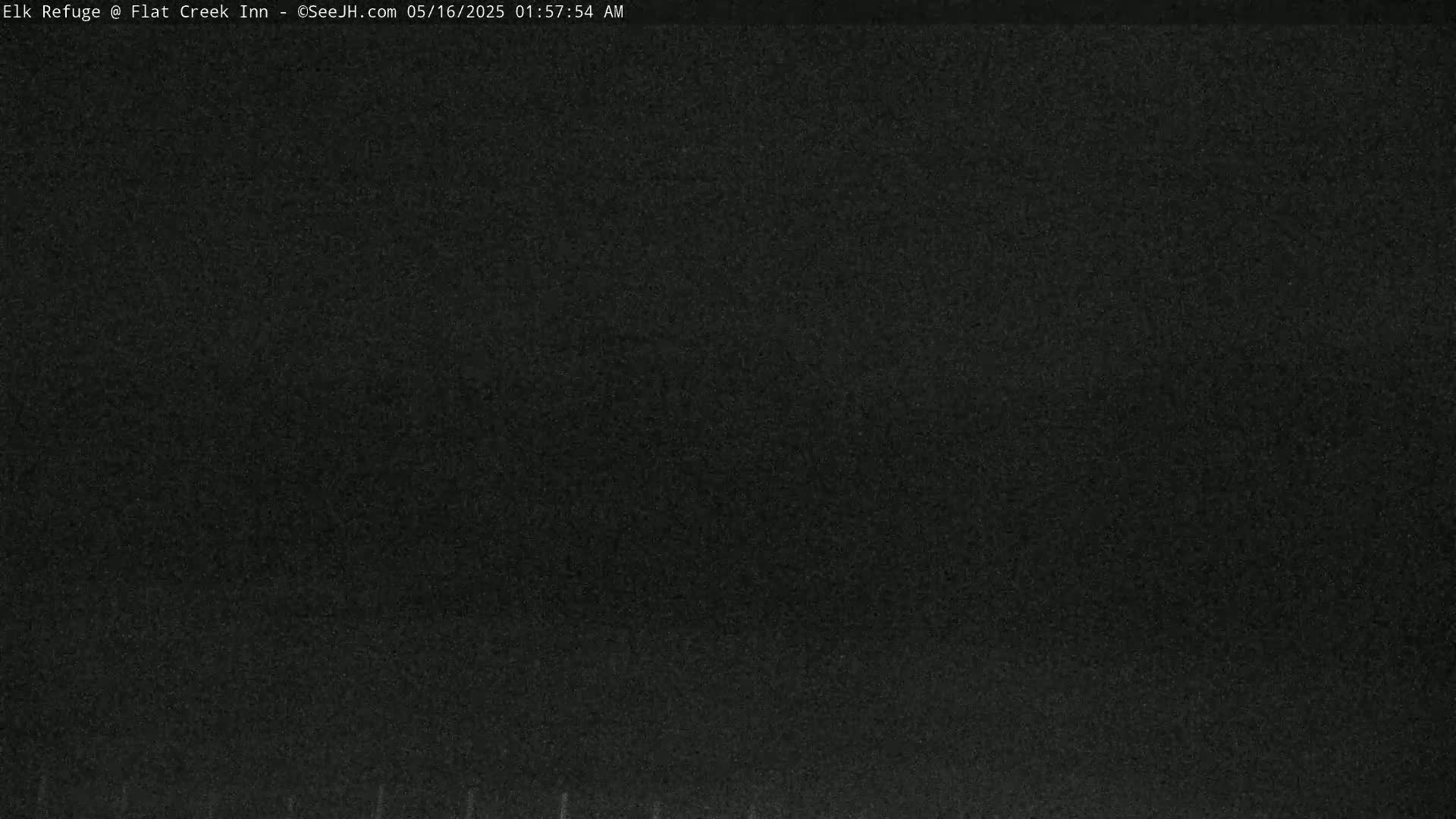 The image shows a uniformly dark gray or black screen with a grainy texture.