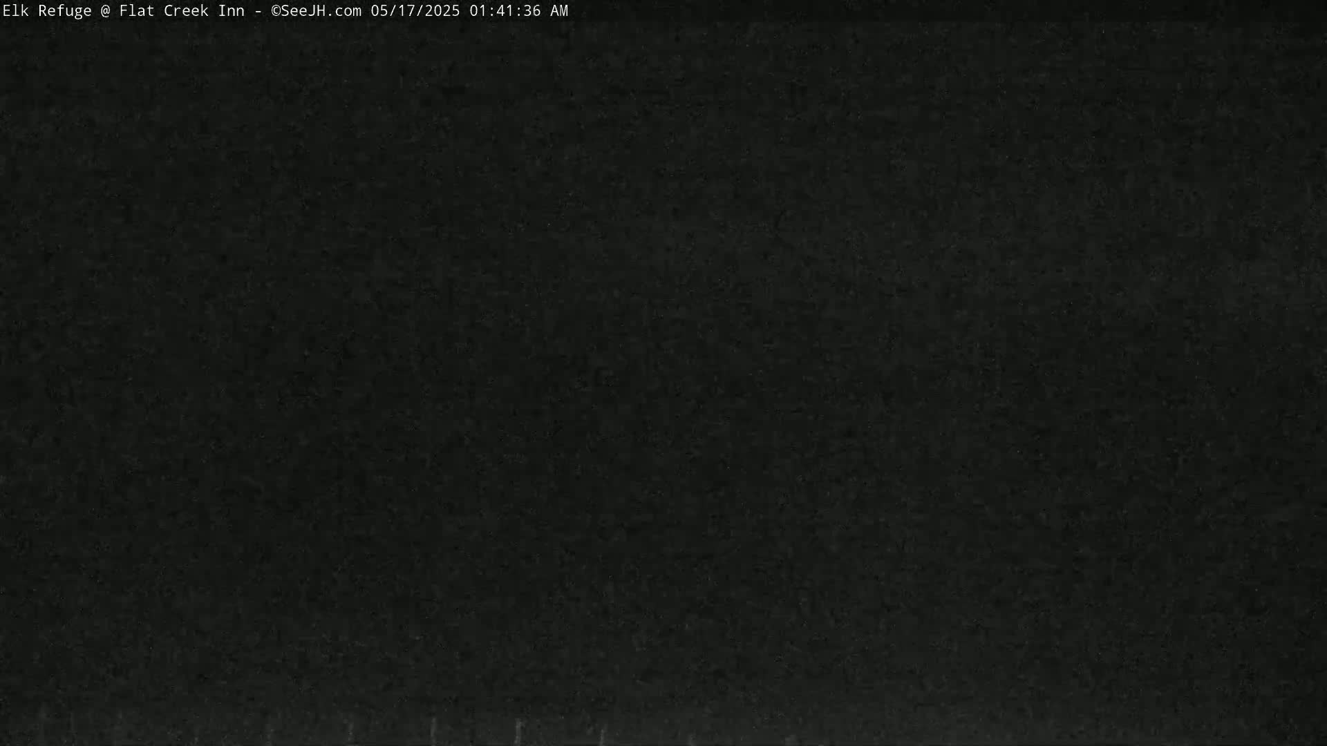 The image shows a uniformly dark, grainy surface.