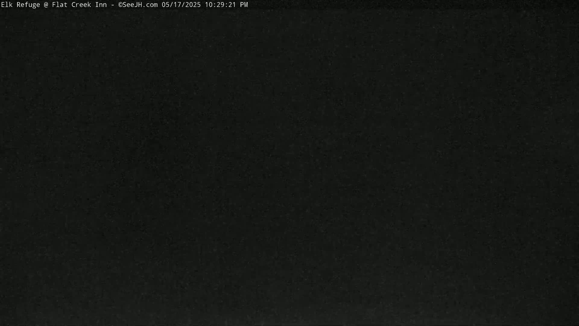 Jackson, Elk Refuge & Teton Mountains from Flat Creek Inn Live Cam - Jackson, Teton, Wyoming, USA