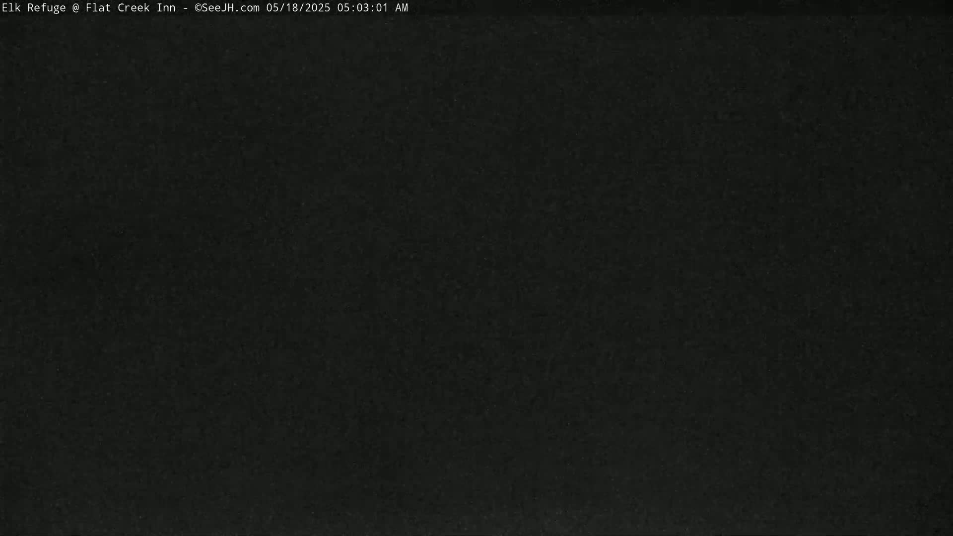The image shows a completely dark, uniformly black scene.