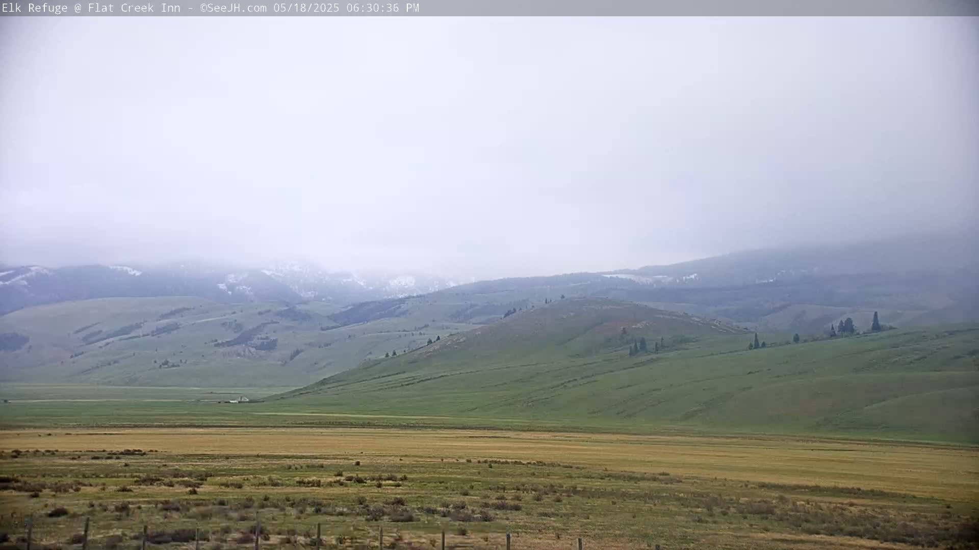 Jackson, Elk Refuge & Teton Mountains from Flat Creek Inn Live Cam - Jackson, Teton, Wyoming, USA