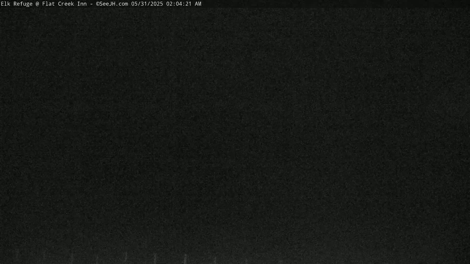 A very dark image shows a mostly black, grainy surface.