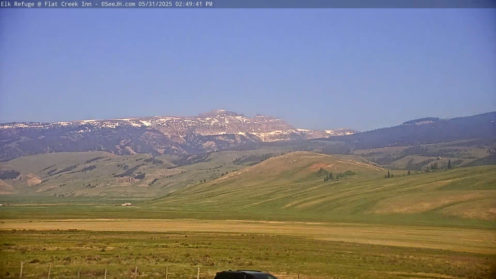 A vast, rolling grassland stretches toward snow-capped mountains under a clear blue sky.