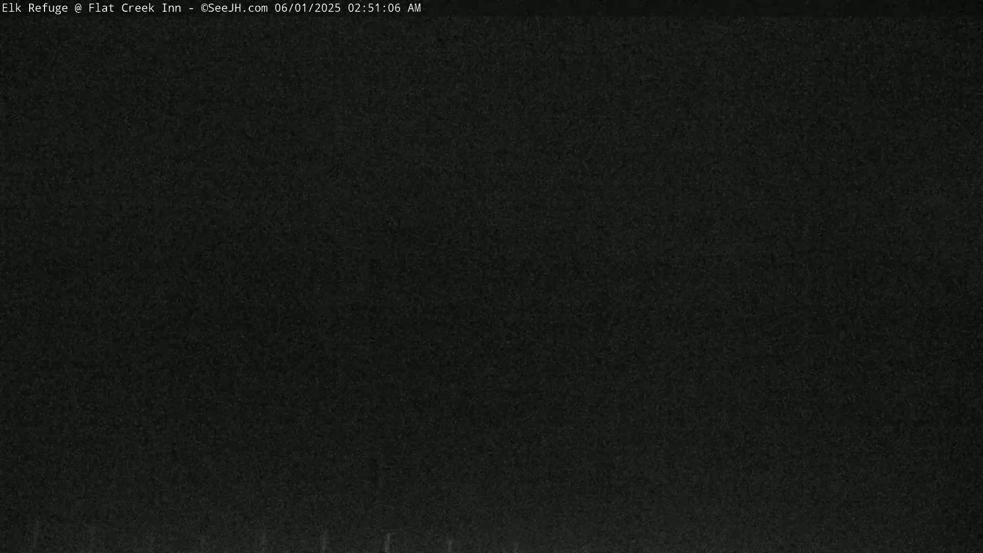 The image shows a completely dark, grainy screen.