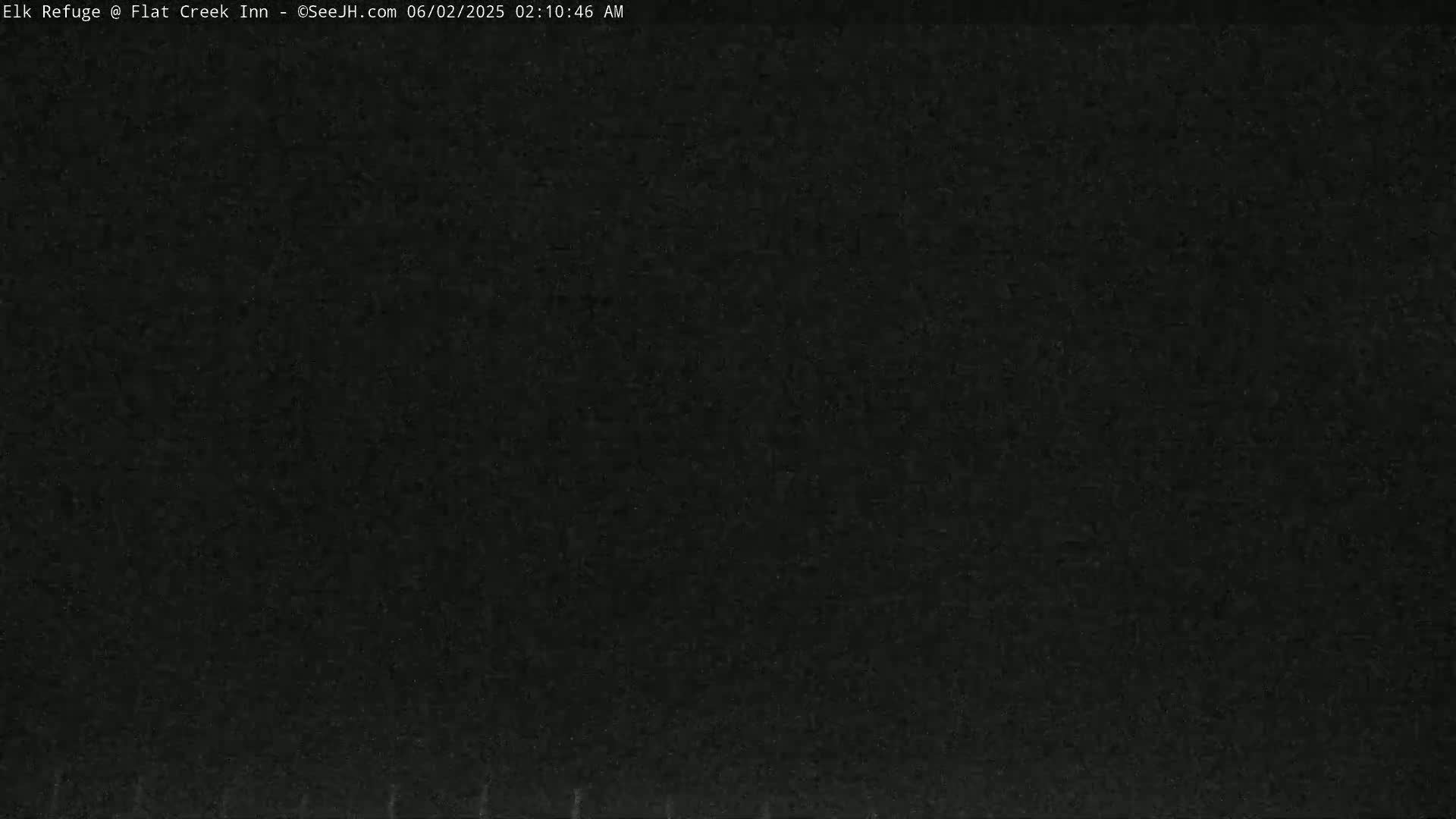 The image shows a completely dark, grainy field of view.