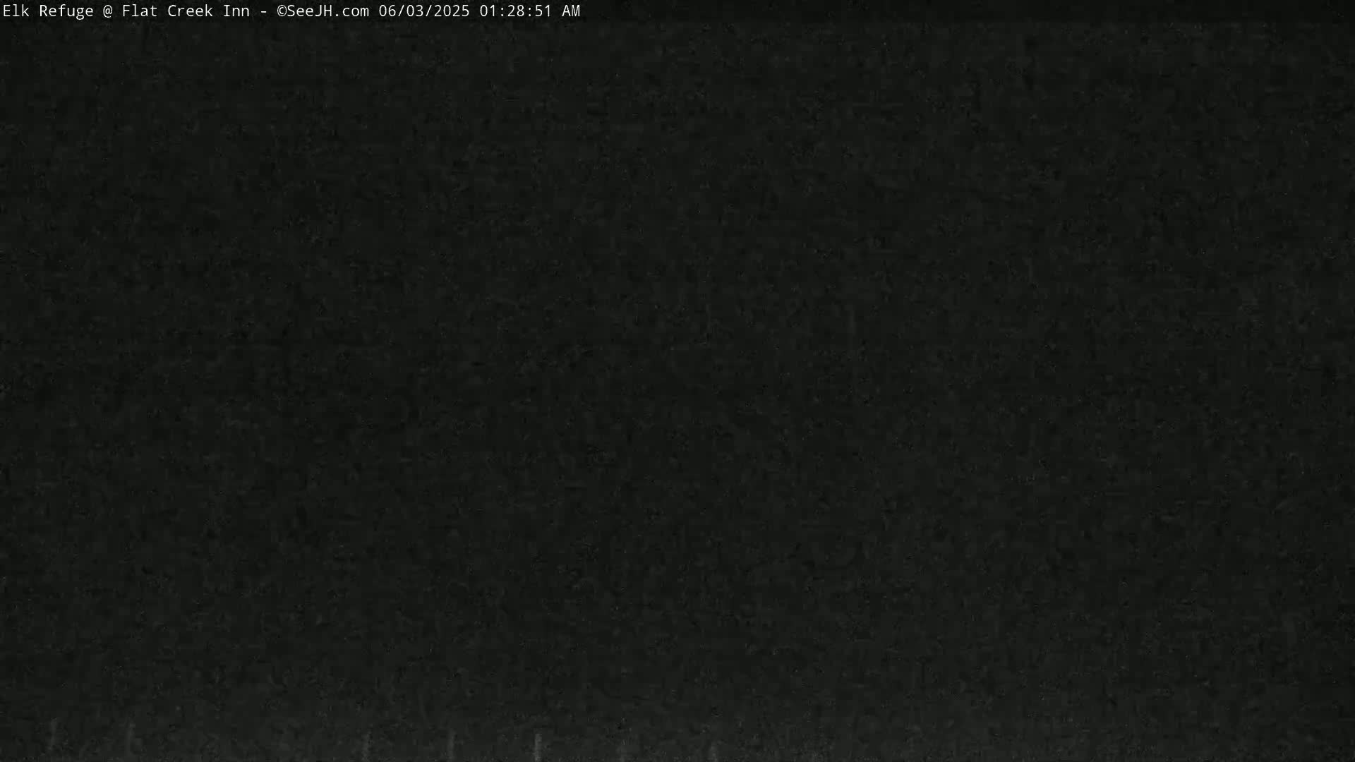 The image shows a dark, uniformly textured surface, possibly asphalt or concrete, under nighttime conditions.