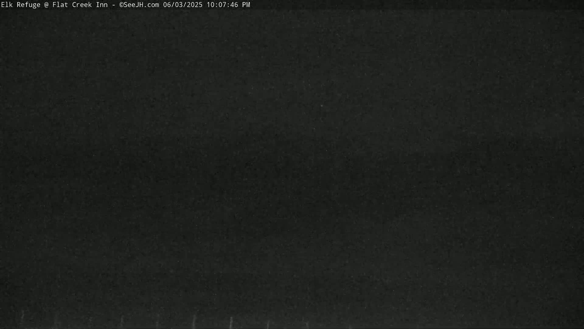 Jackson, Elk Refuge & Teton Mountains from Flat Creek Inn Live Cam - Jackson, Teton, Wyoming, USA
