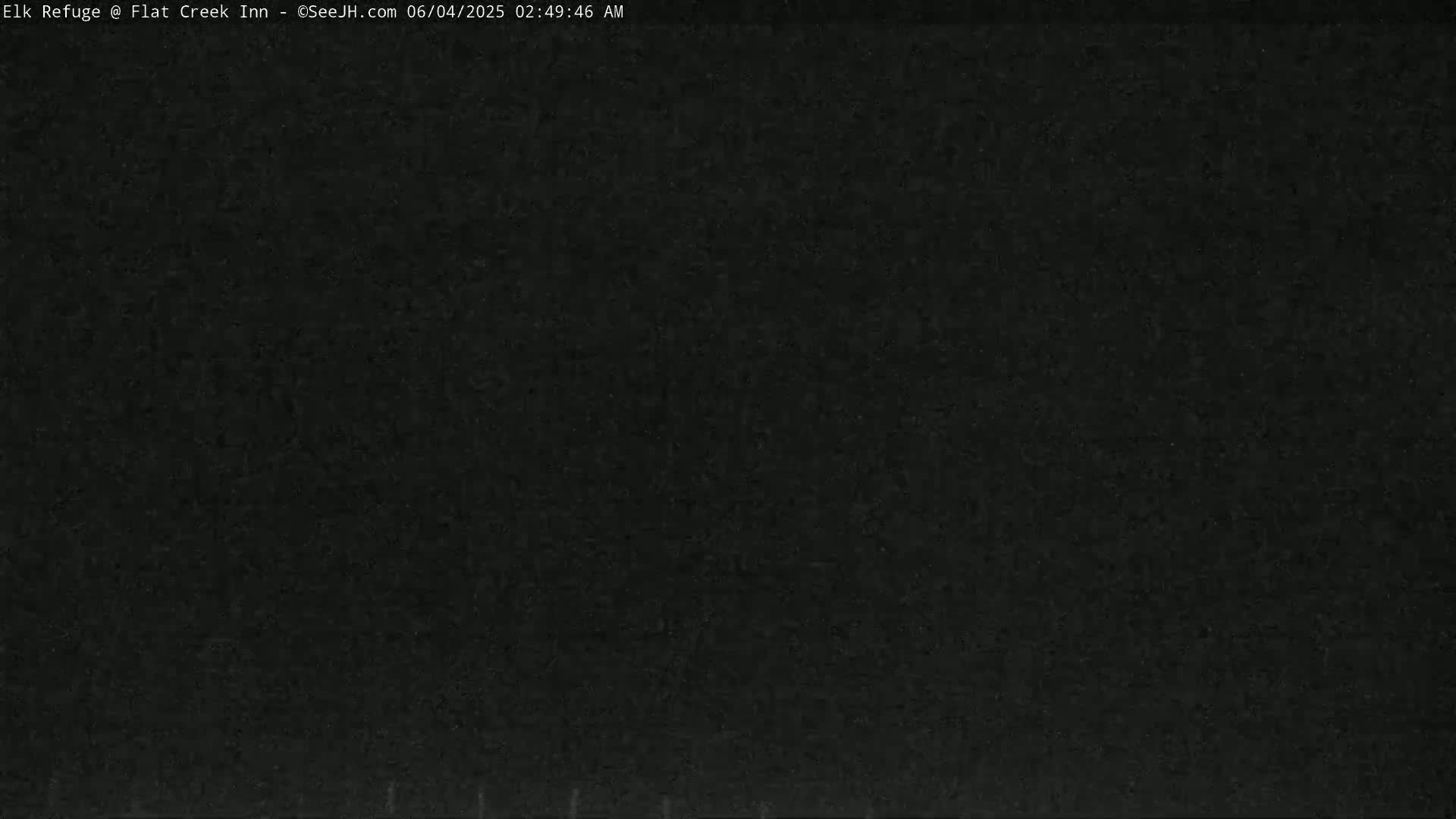 The image shows a completely dark, grainy field of view.