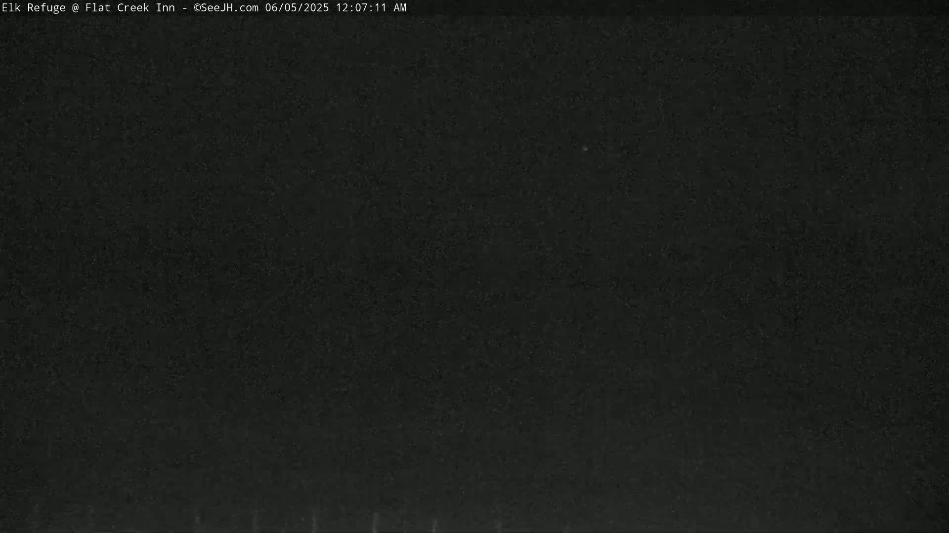 Jackson, Elk Refuge & Teton Mountains from Flat Creek Inn Live Cam - Jackson, Teton, Wyoming, USA