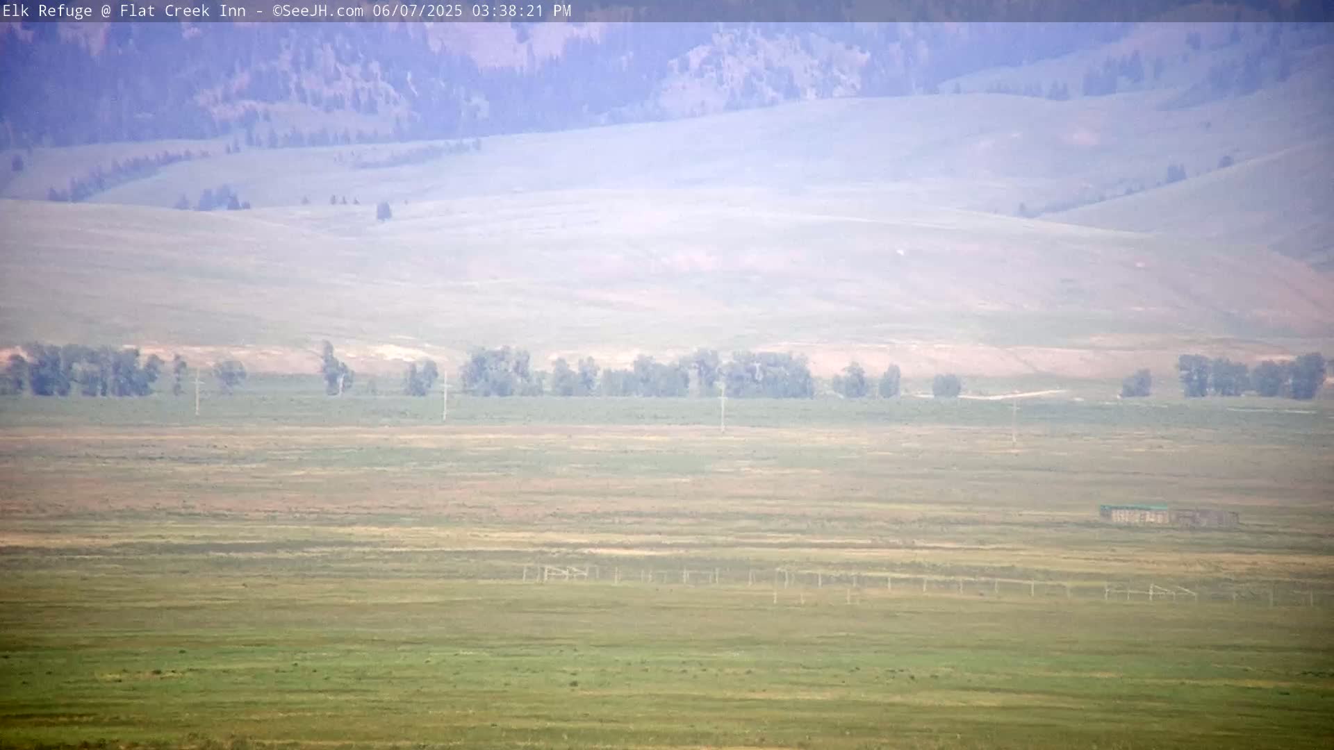 A hazy, long shot of a flat, grassy plain with a line of trees in the middle distance and rolling hills in the background.