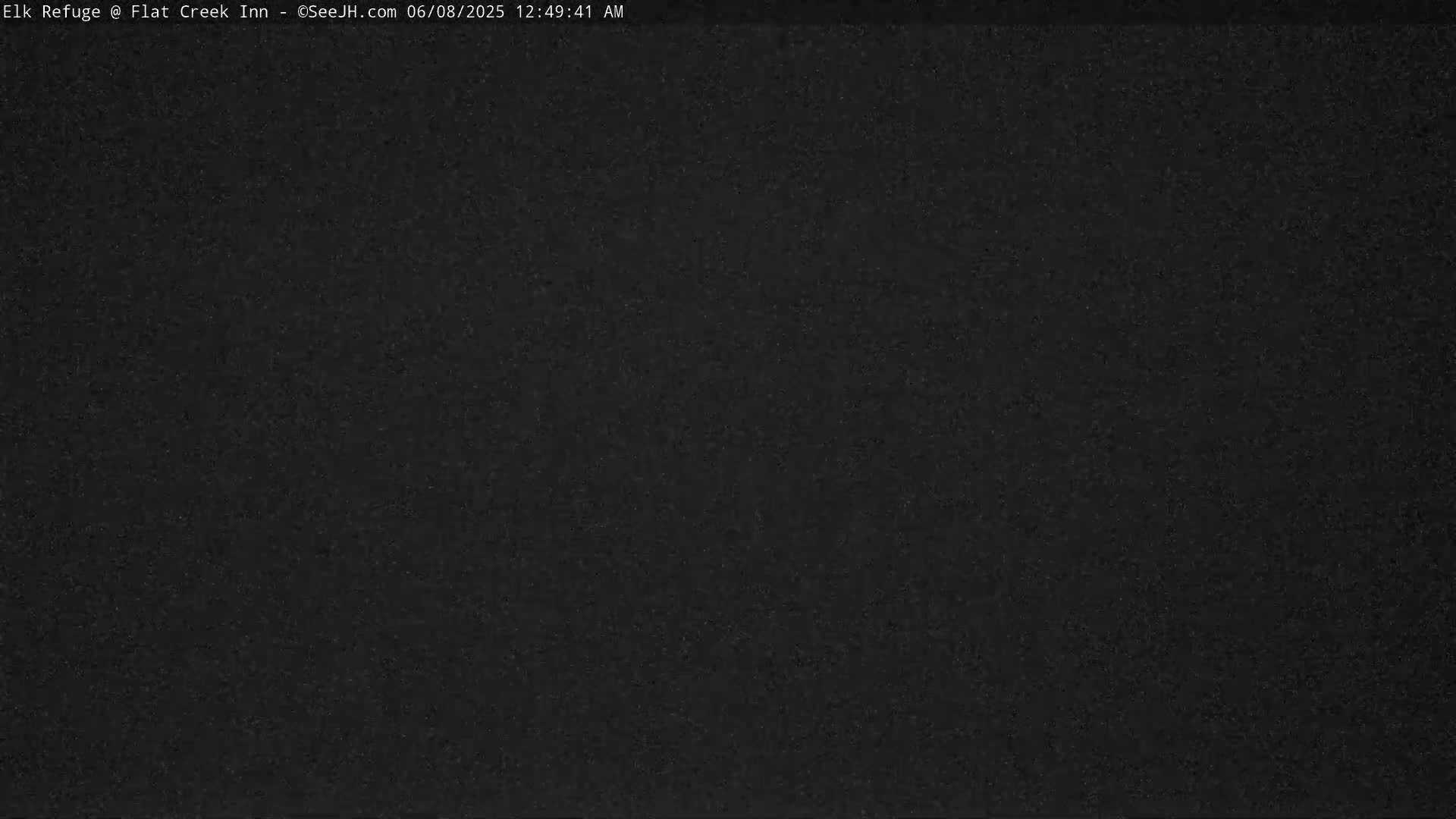 Jackson, Elk Refuge & Teton Mountains from Flat Creek Inn Live Cam - Jackson, Teton, Wyoming, USA