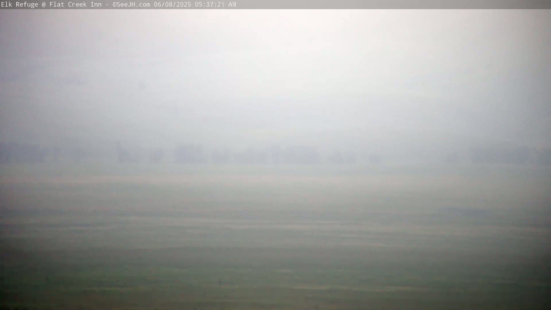 A flat, hazy landscape is visible through a thick fog.