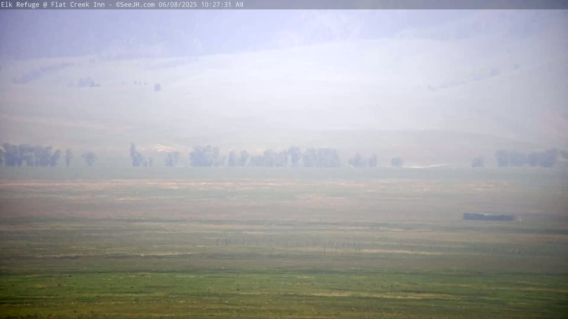 A hazy, flat landscape stretches out, featuring a line of trees in the mid-ground and sparse vegetation across the foreground.