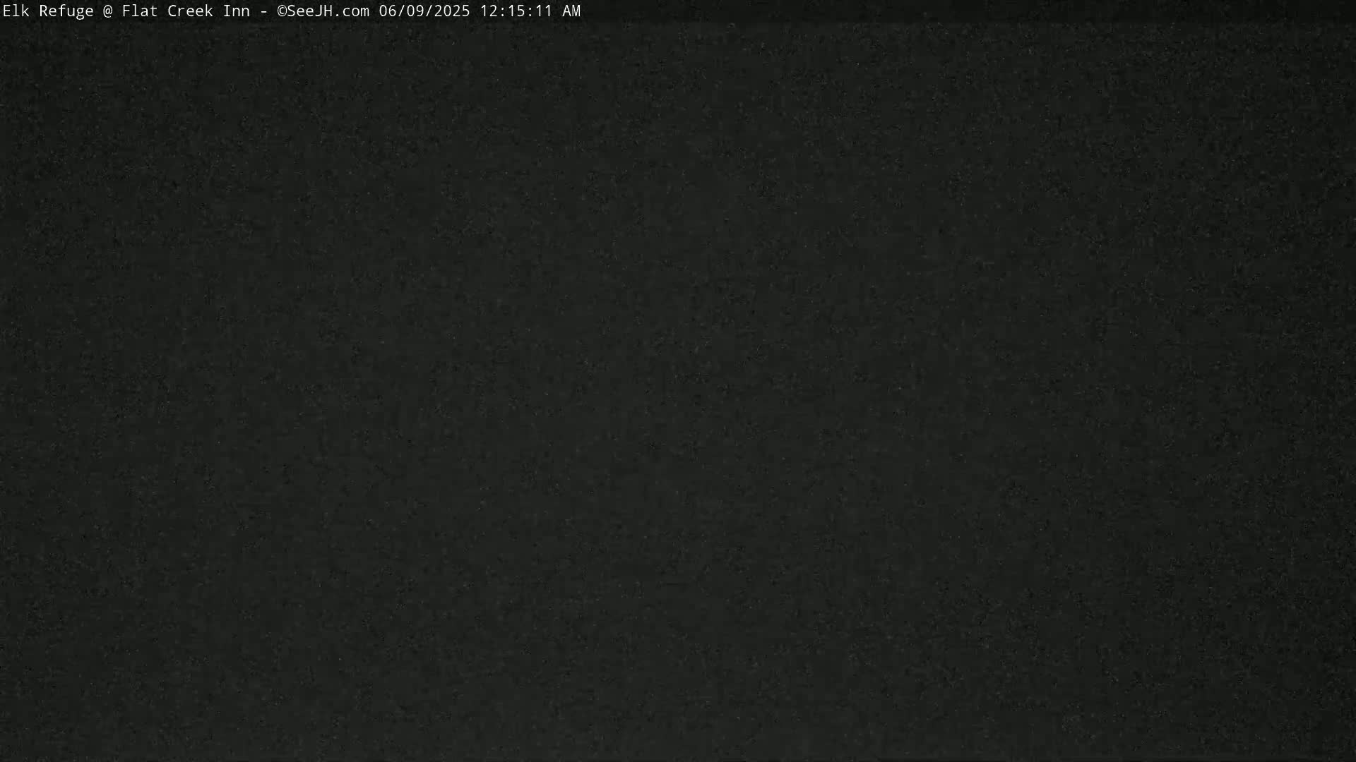 Jackson, Elk Refuge & Teton Mountains from Flat Creek Inn Live Cam - Jackson, Teton, Wyoming, USA